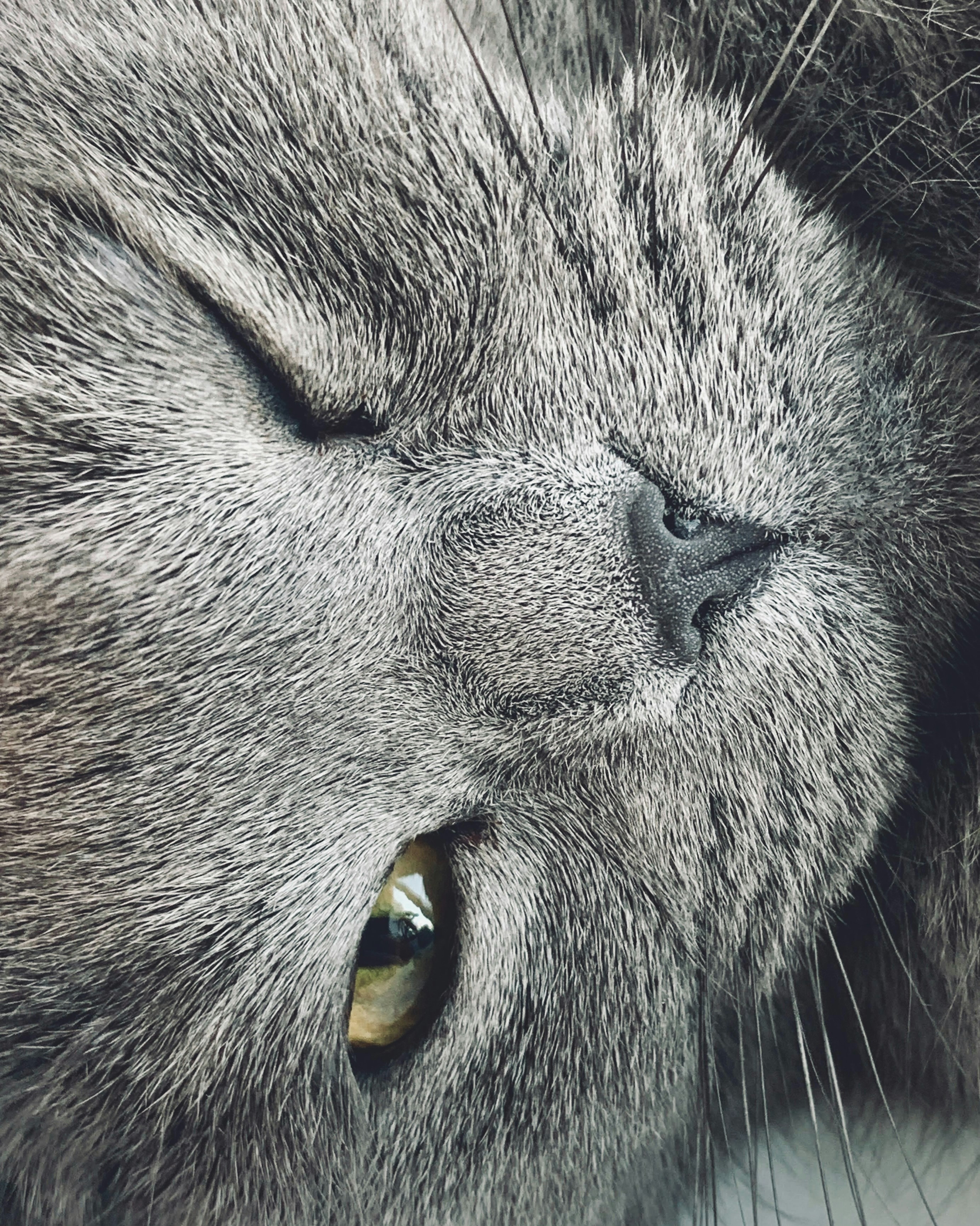 Photo by ionemchinov