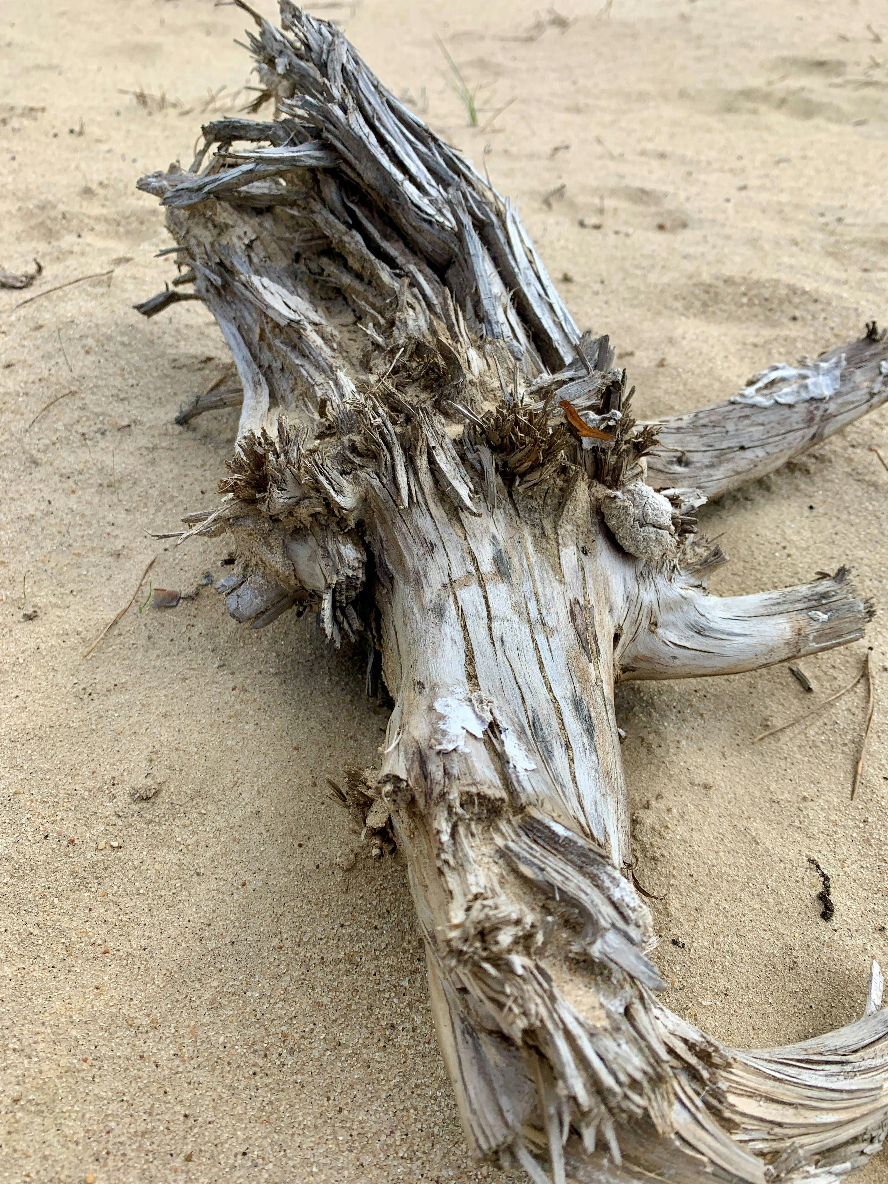 Photo by ionemchinov