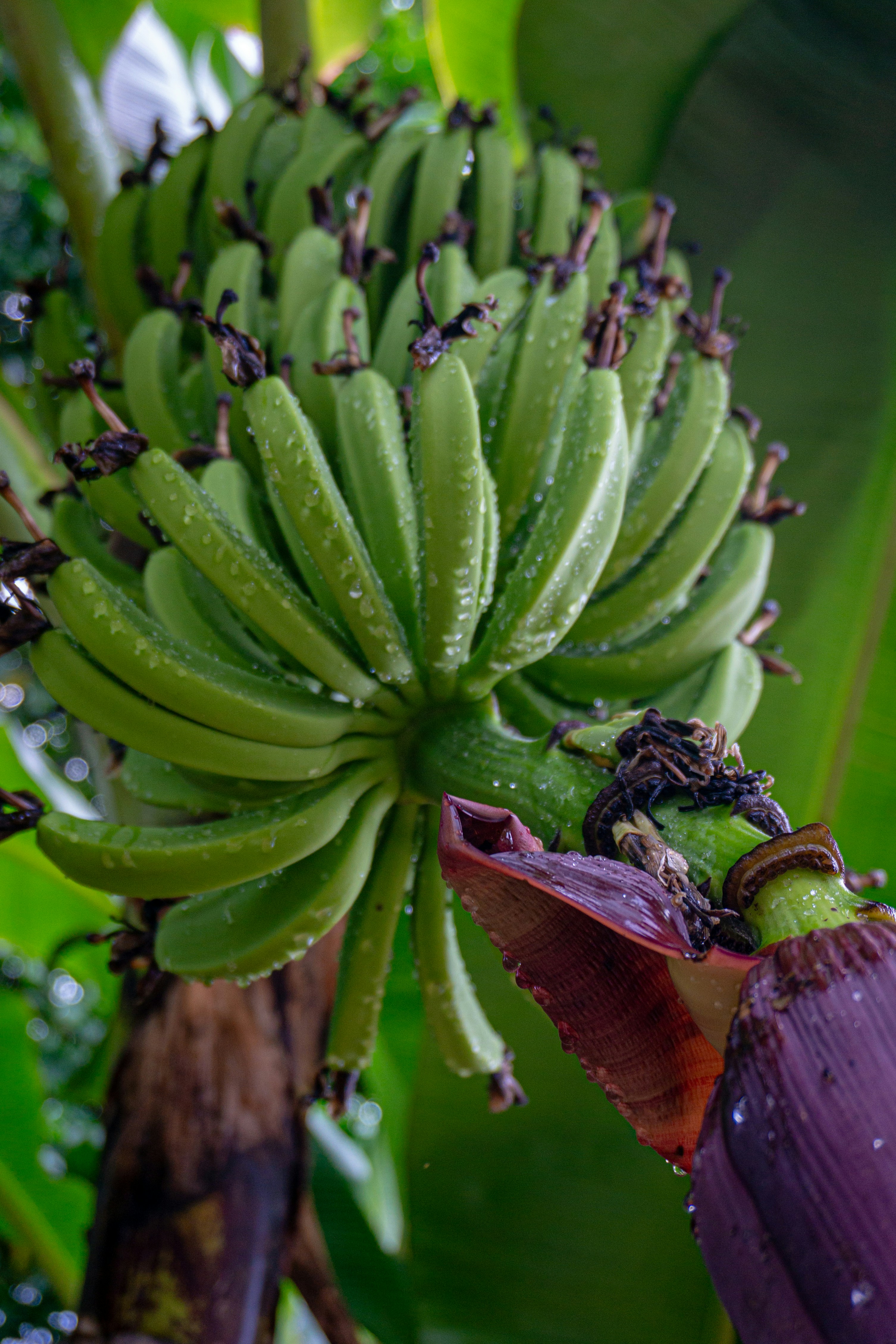 Photo by aletraekaye