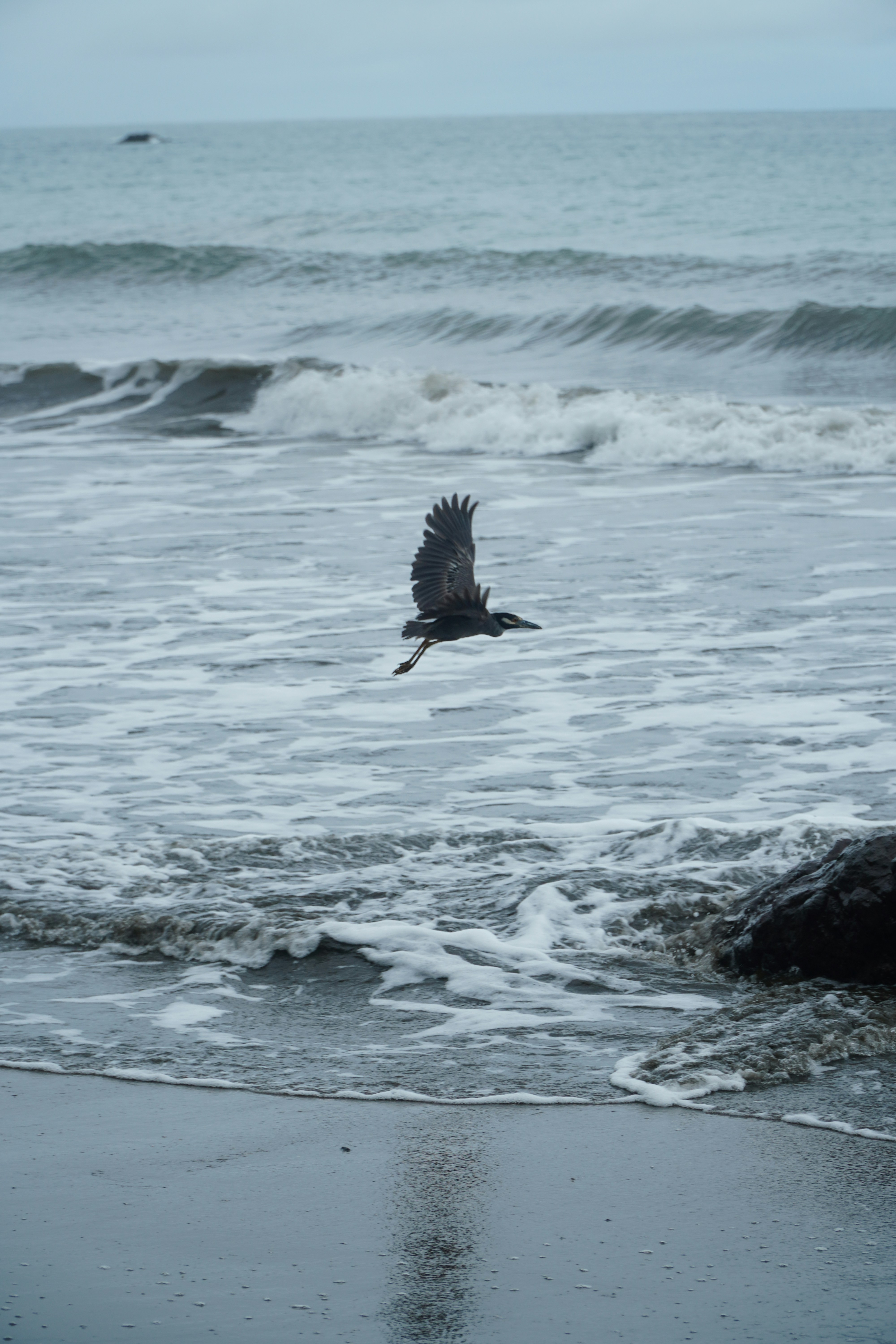 Photo by wholenewworldphoto