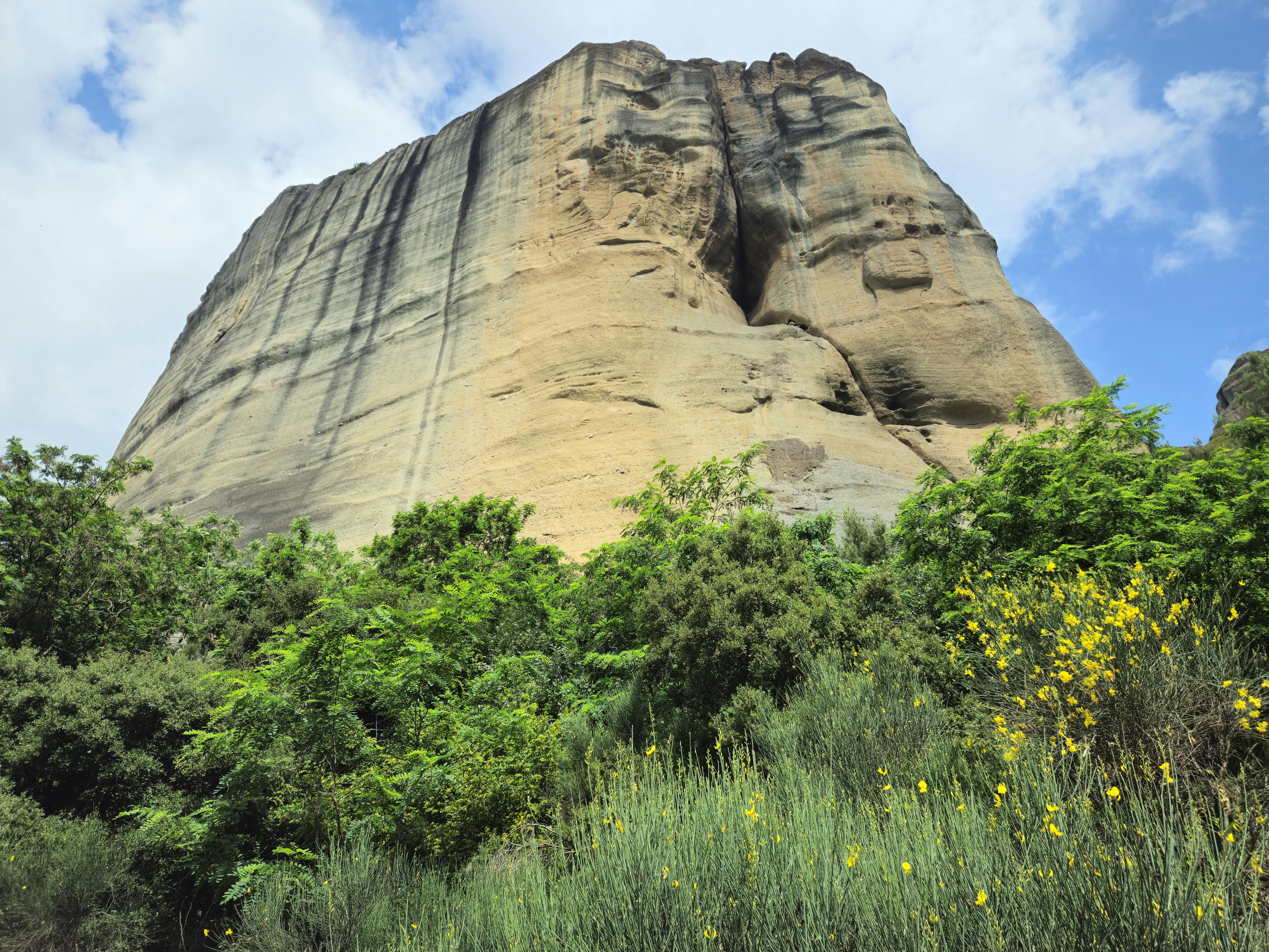 Eine große Felsformation mitten in einem Wald