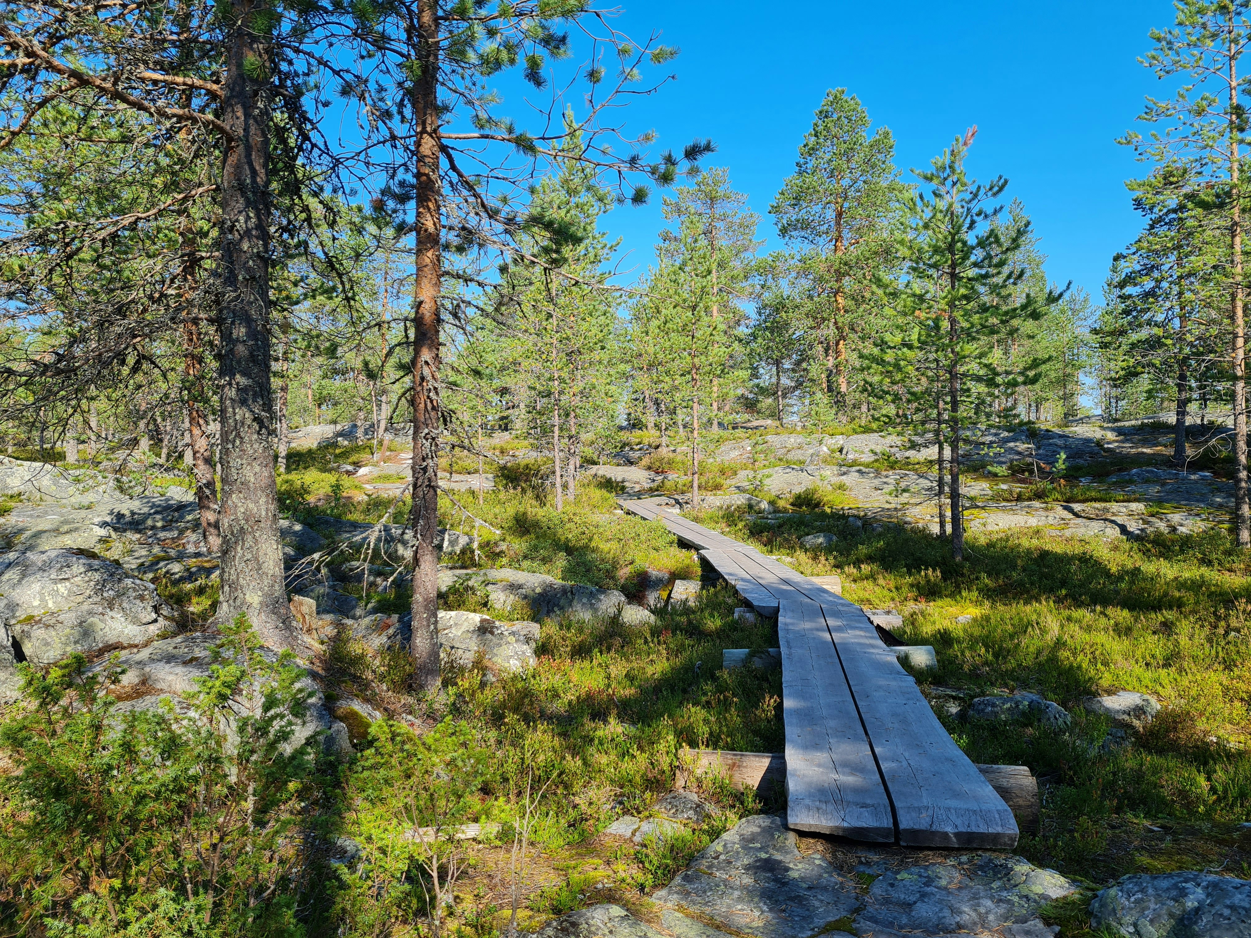 Siljonpuisto