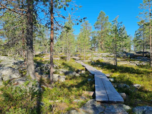 Rovaniemi