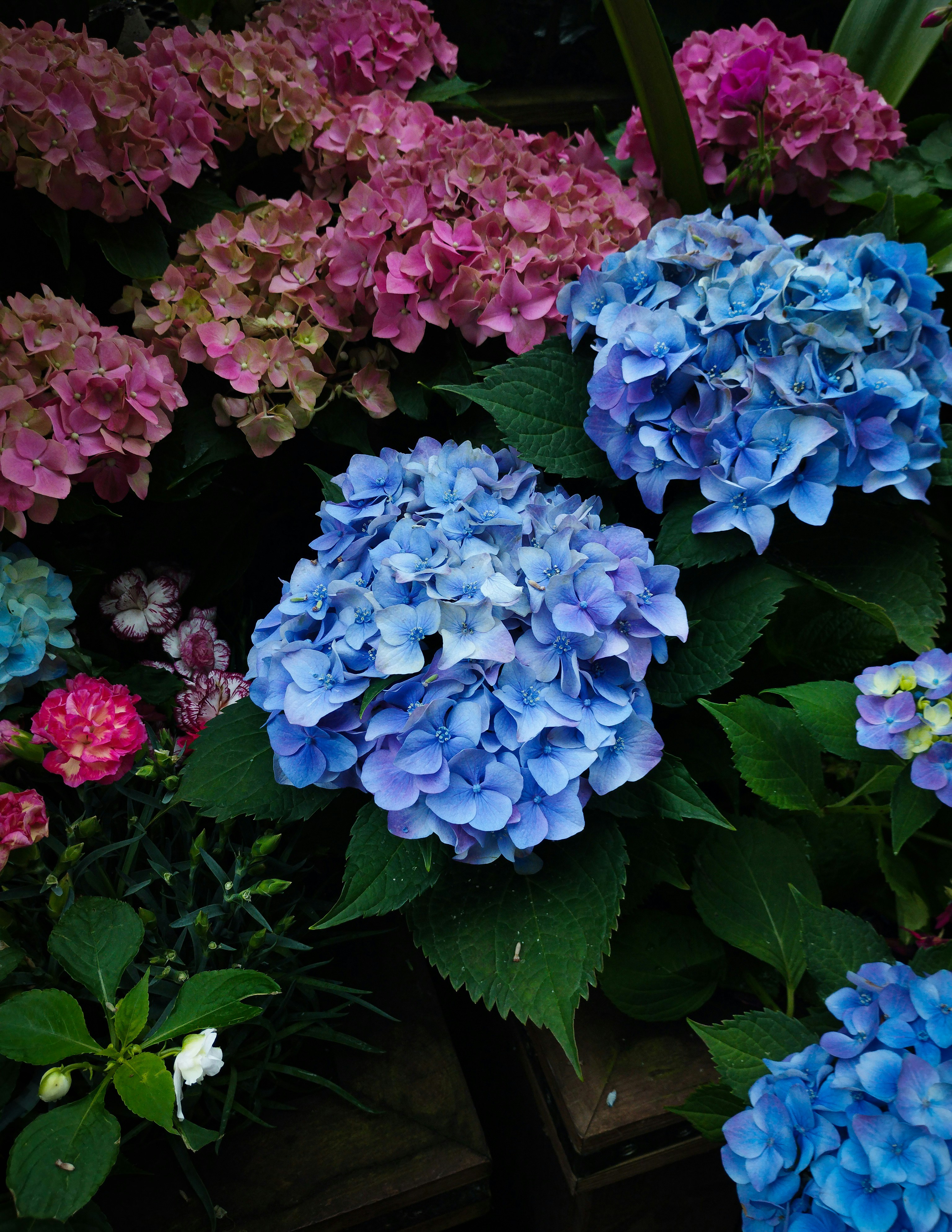 Photo by kian_g_2024