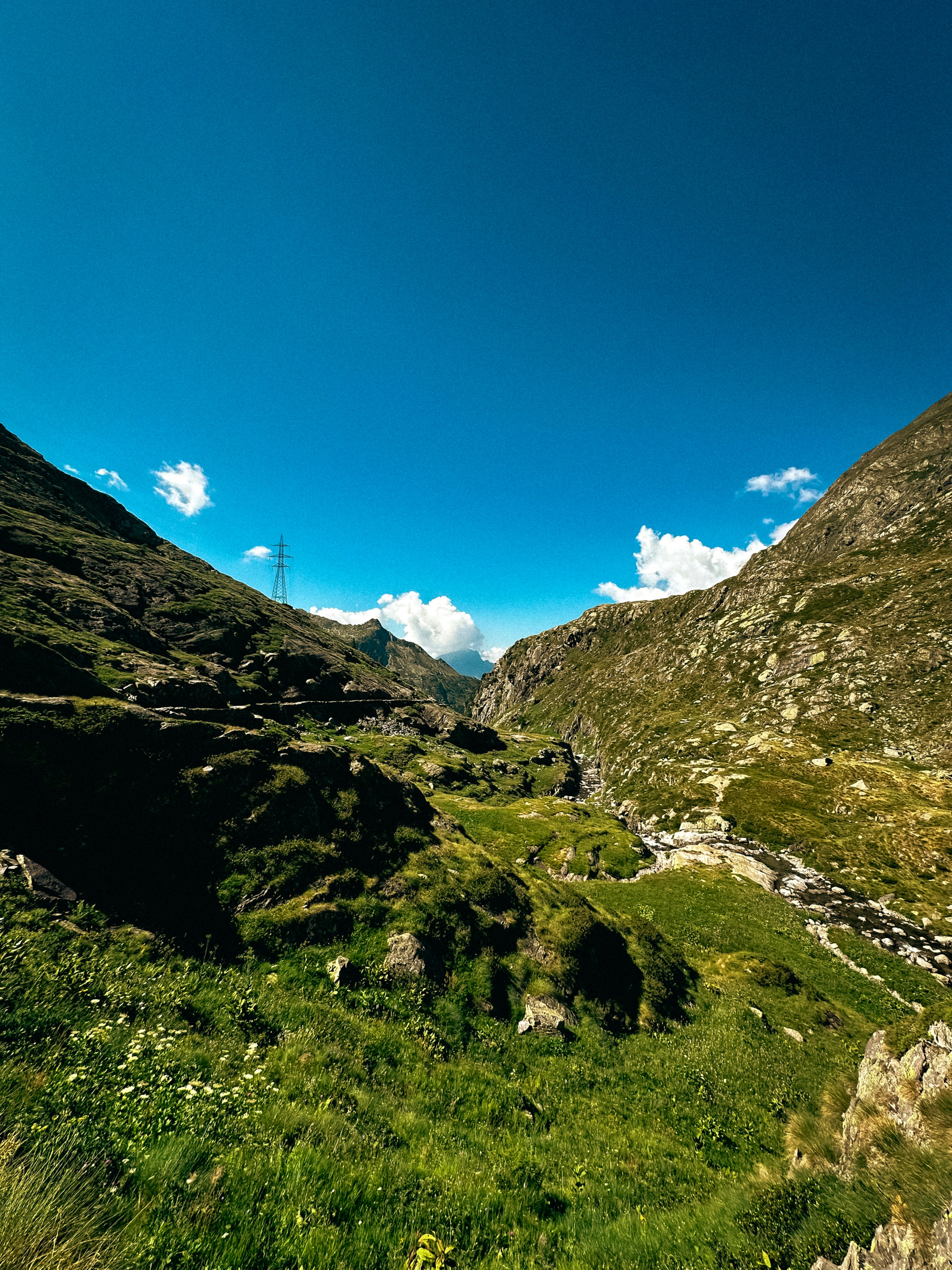 Photo by sacracomelasindone