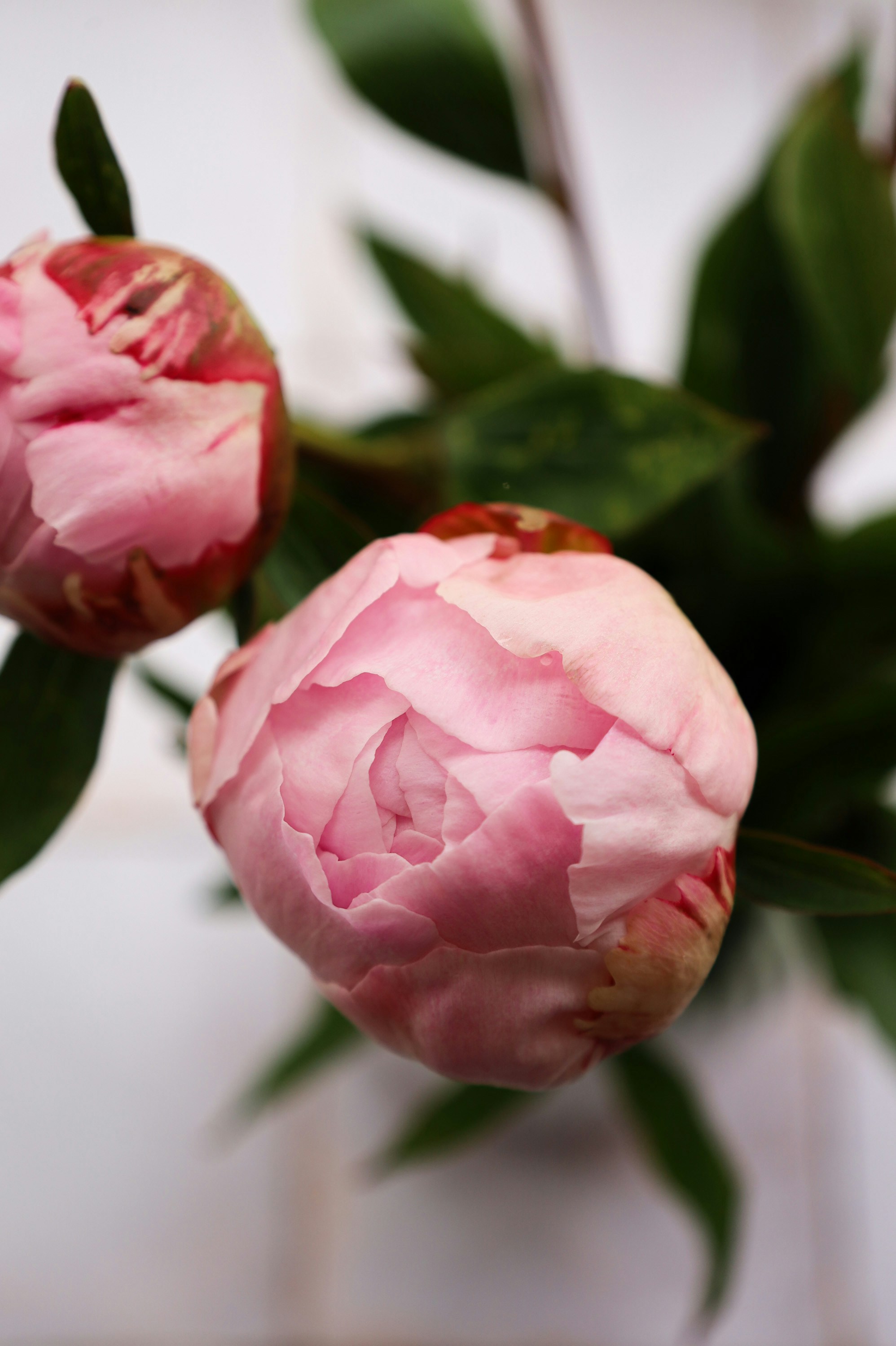 Photo by andrea_niebuhr