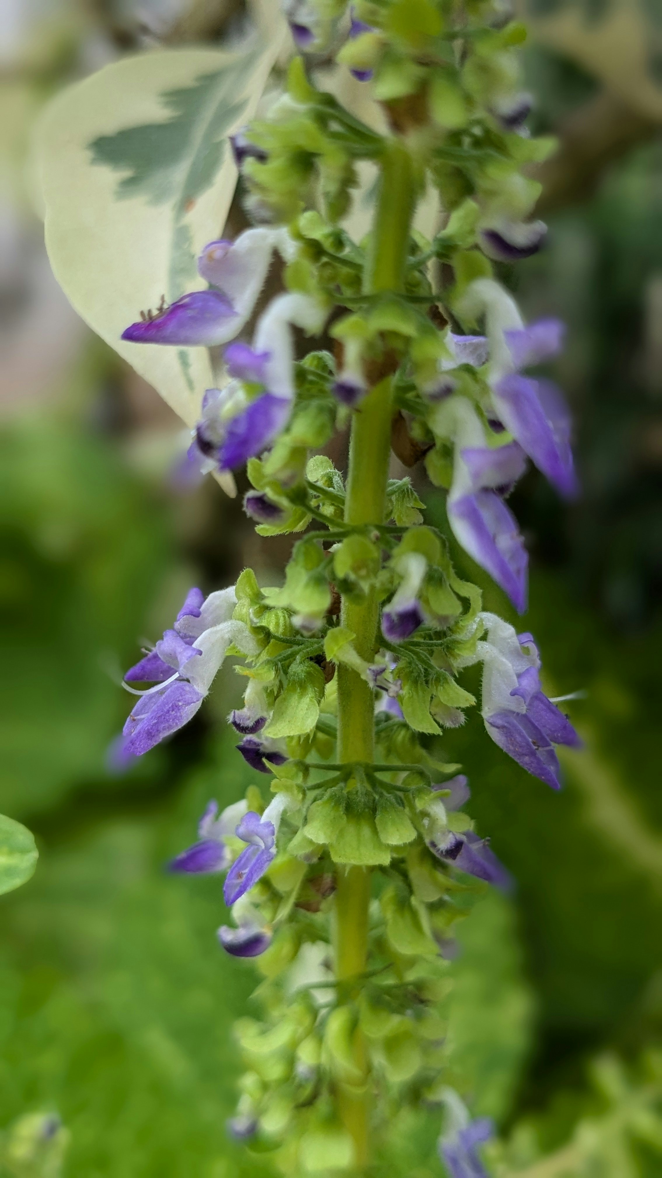 Photo by photogitthi