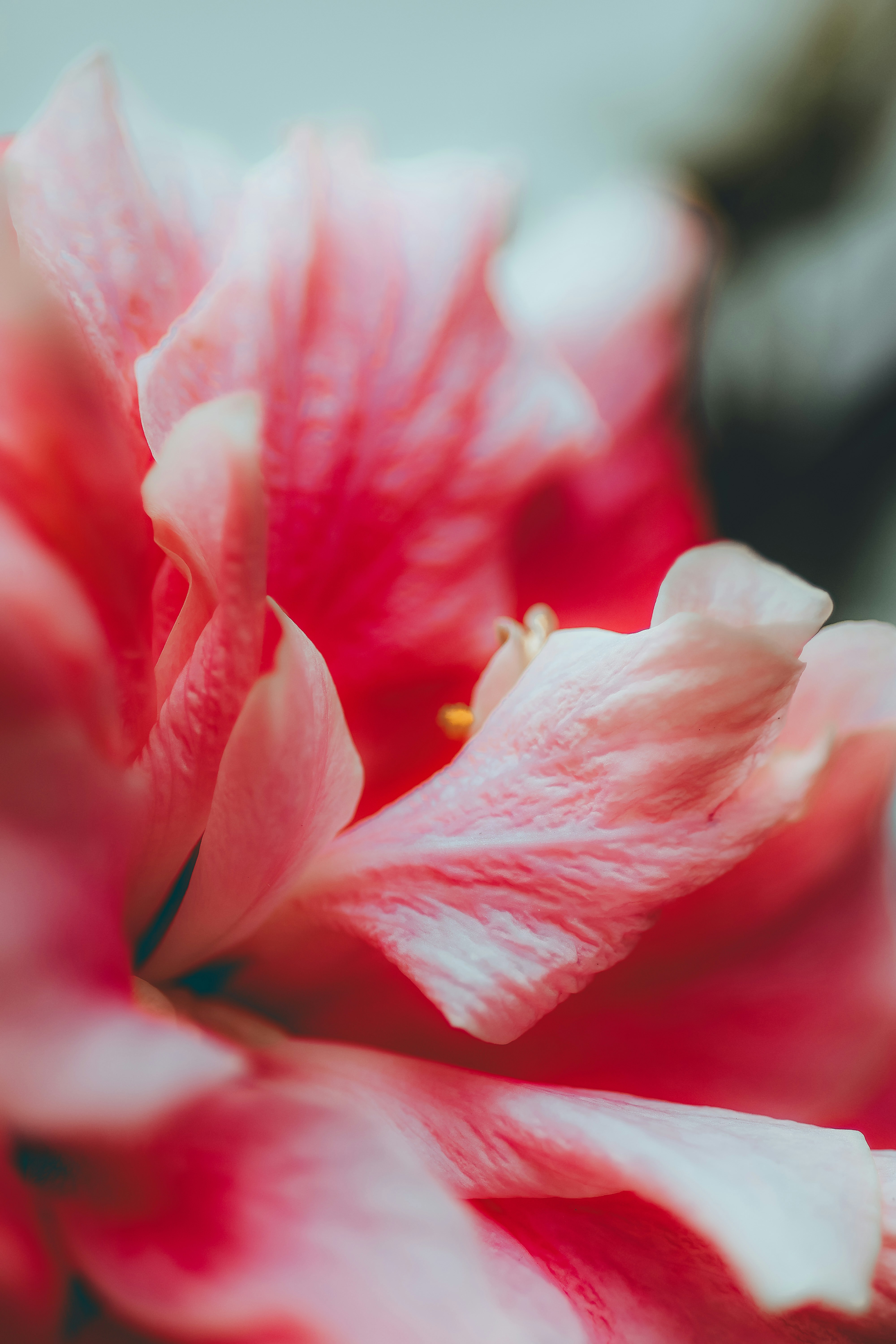 Photo by manucinephoto