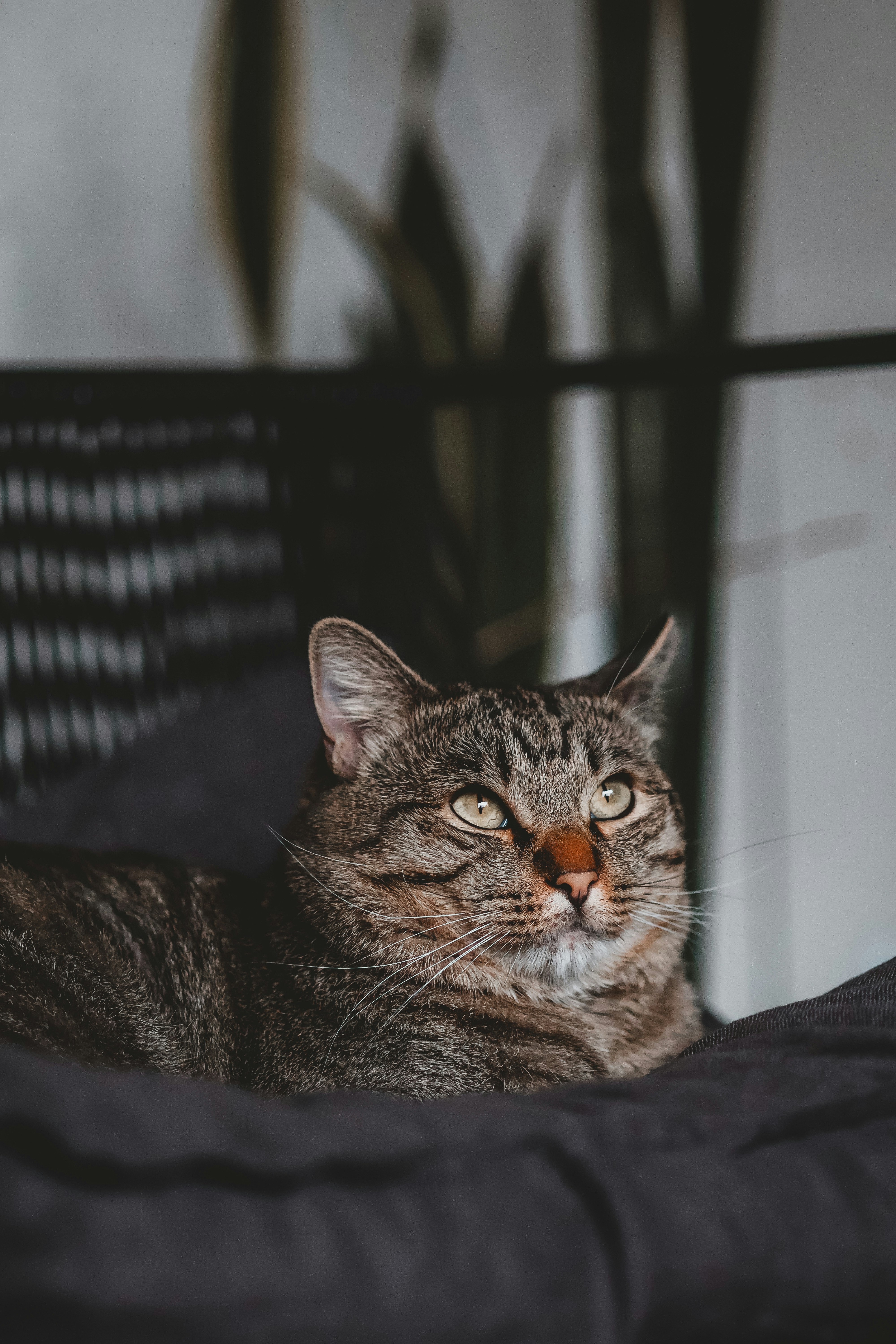 Photo by manucinephoto