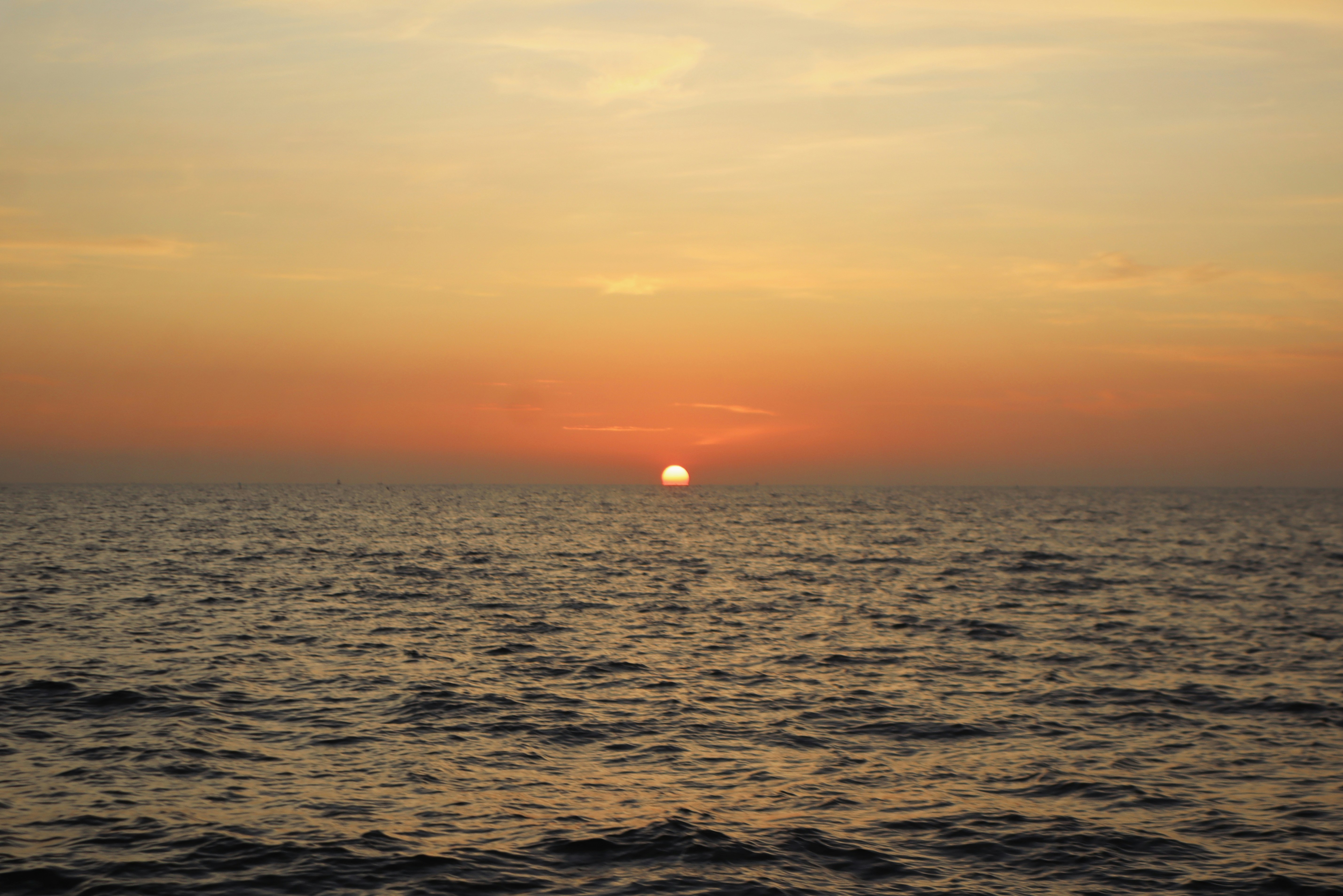 Photo by faqihabdul_