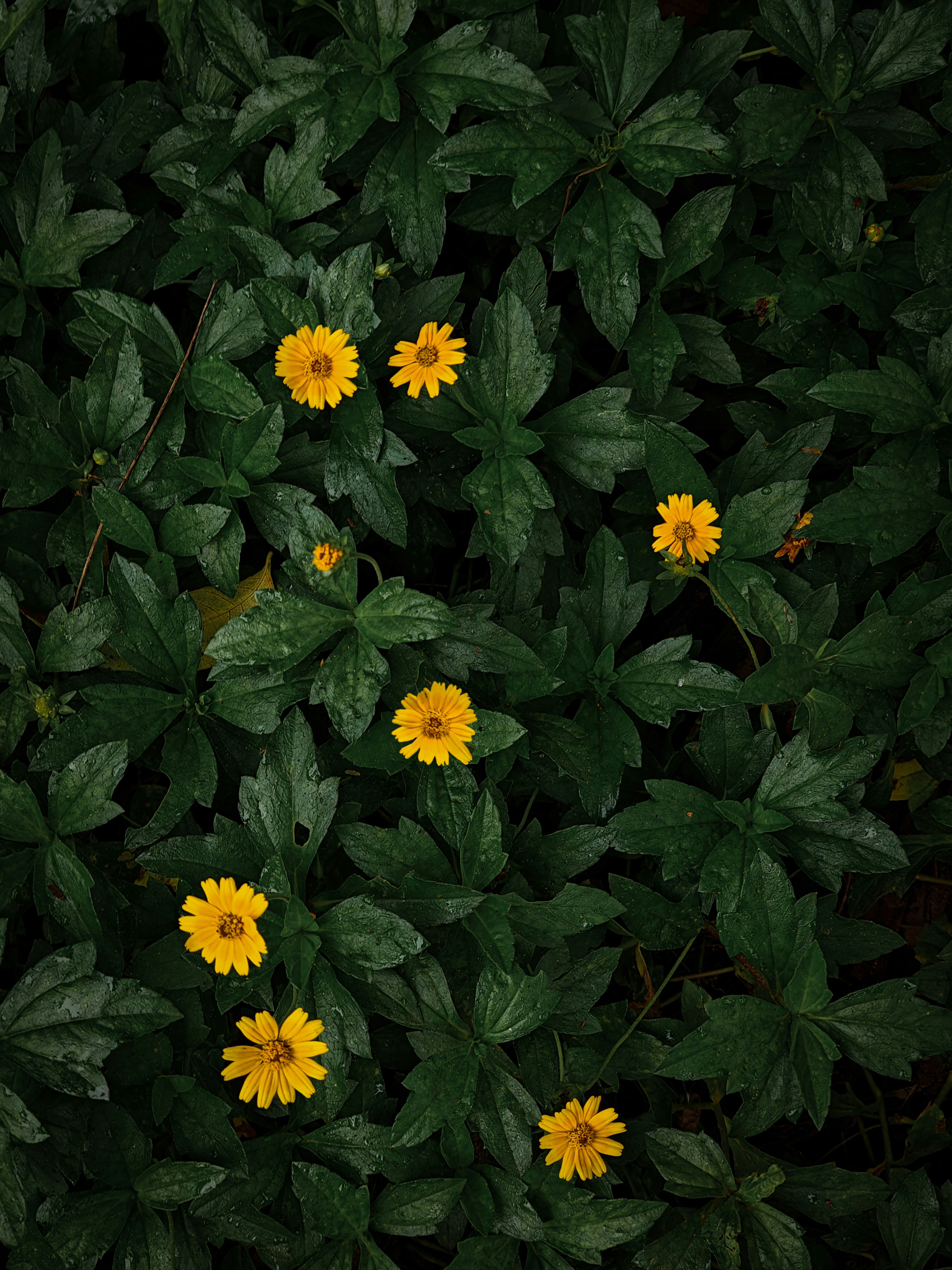 Photo by bithinrajxlr8