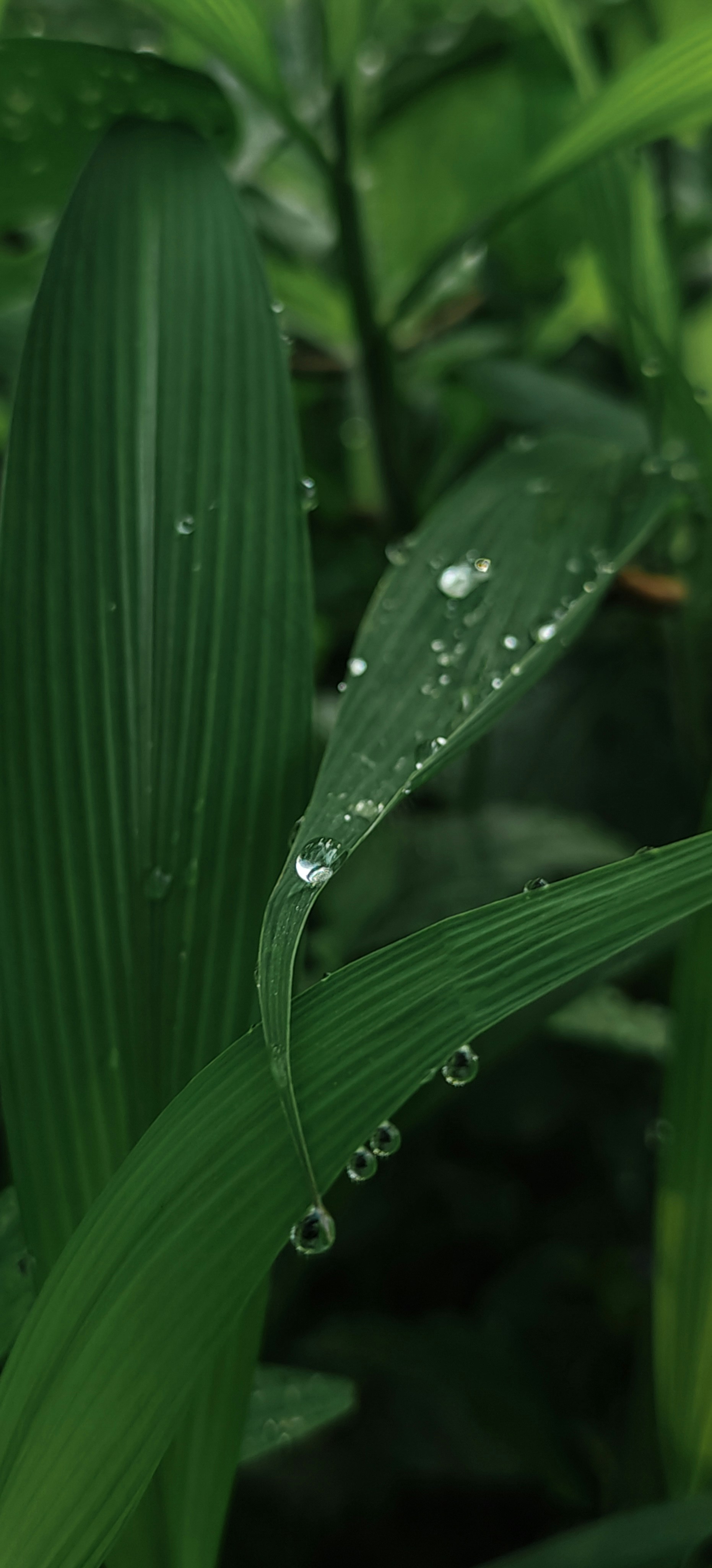 Photo by bithinrajxlr8