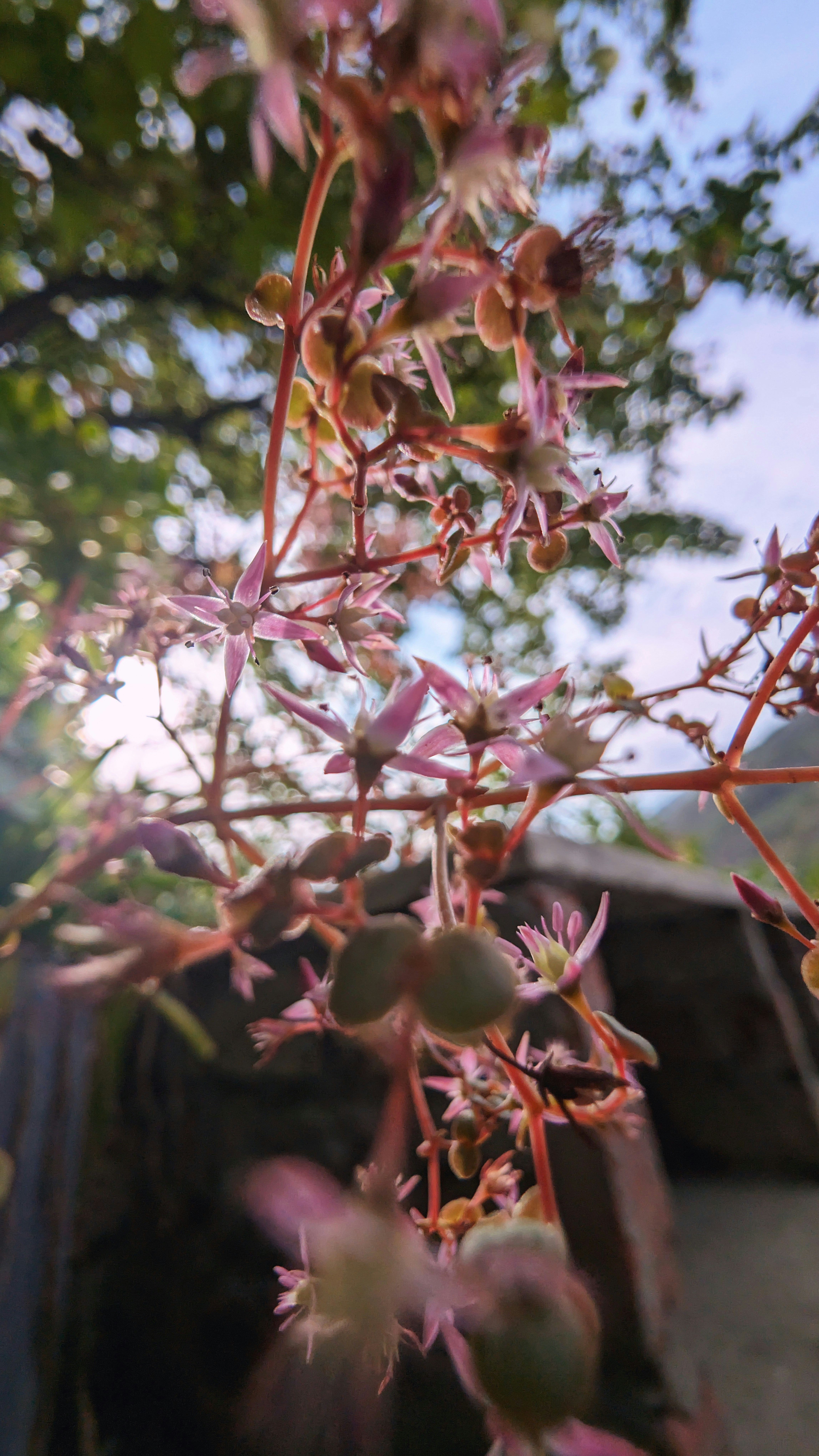 Photo by vinay_gujar