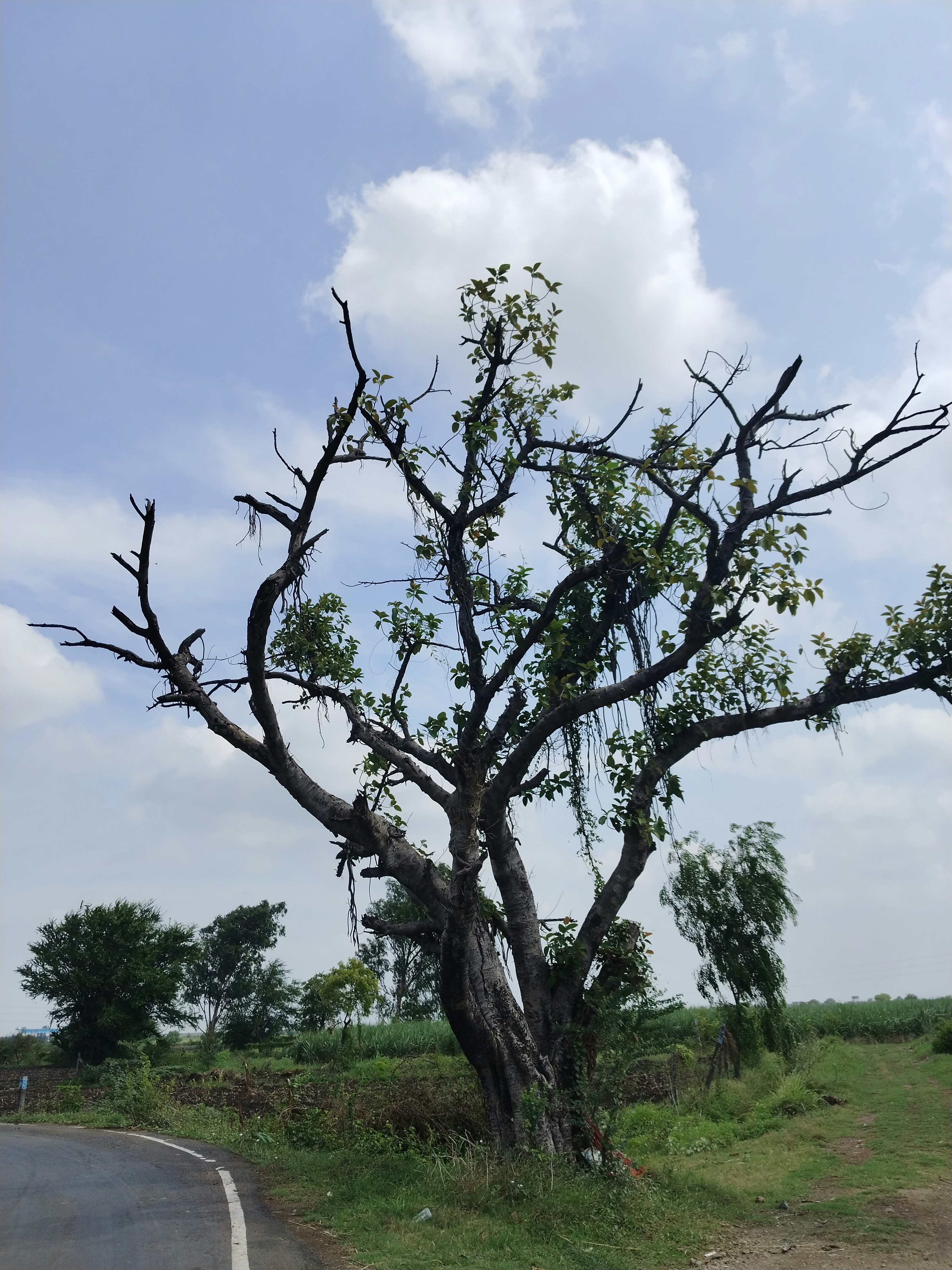 Photo by khushi_2006