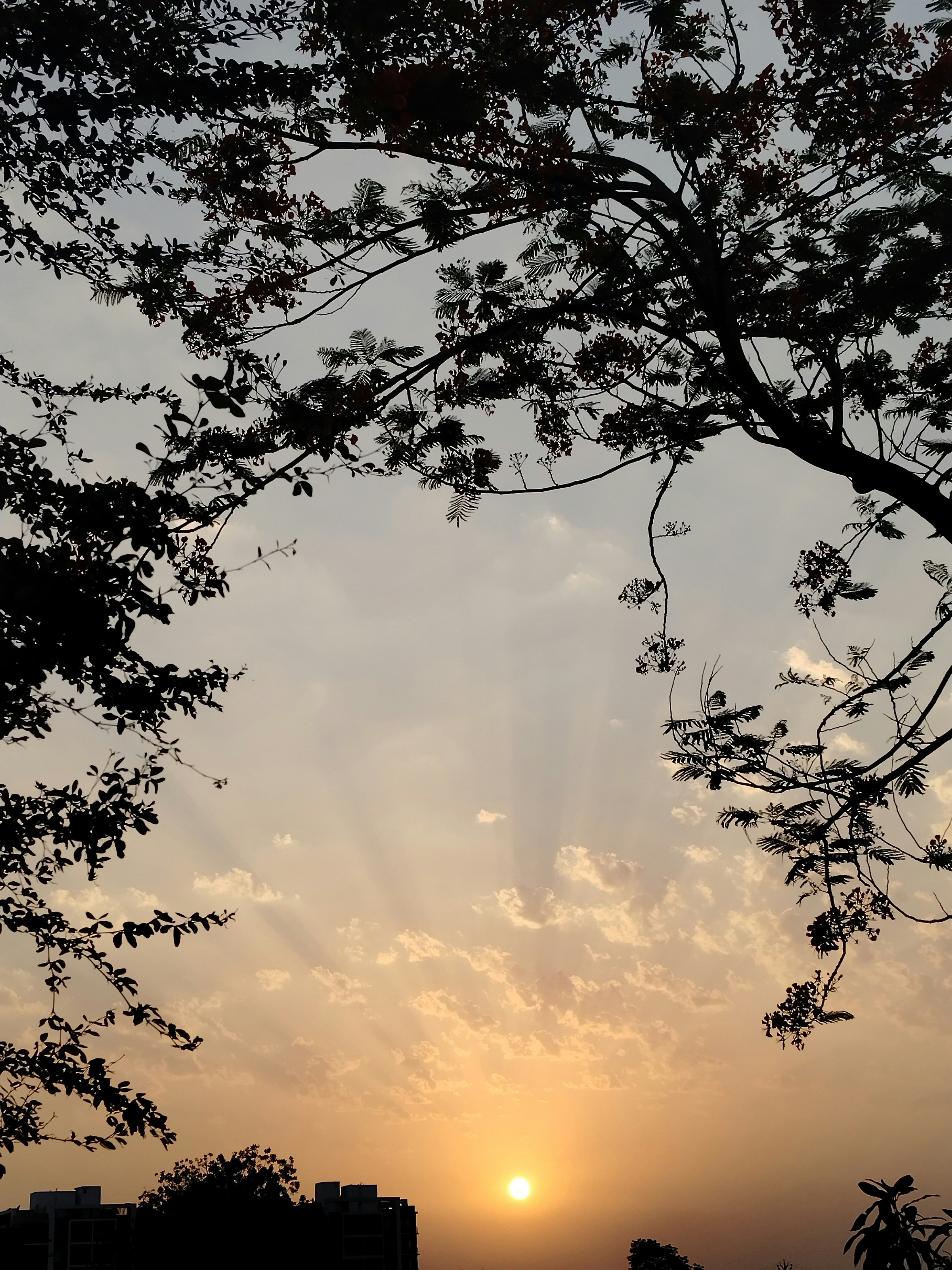 Photo by khushi_2006