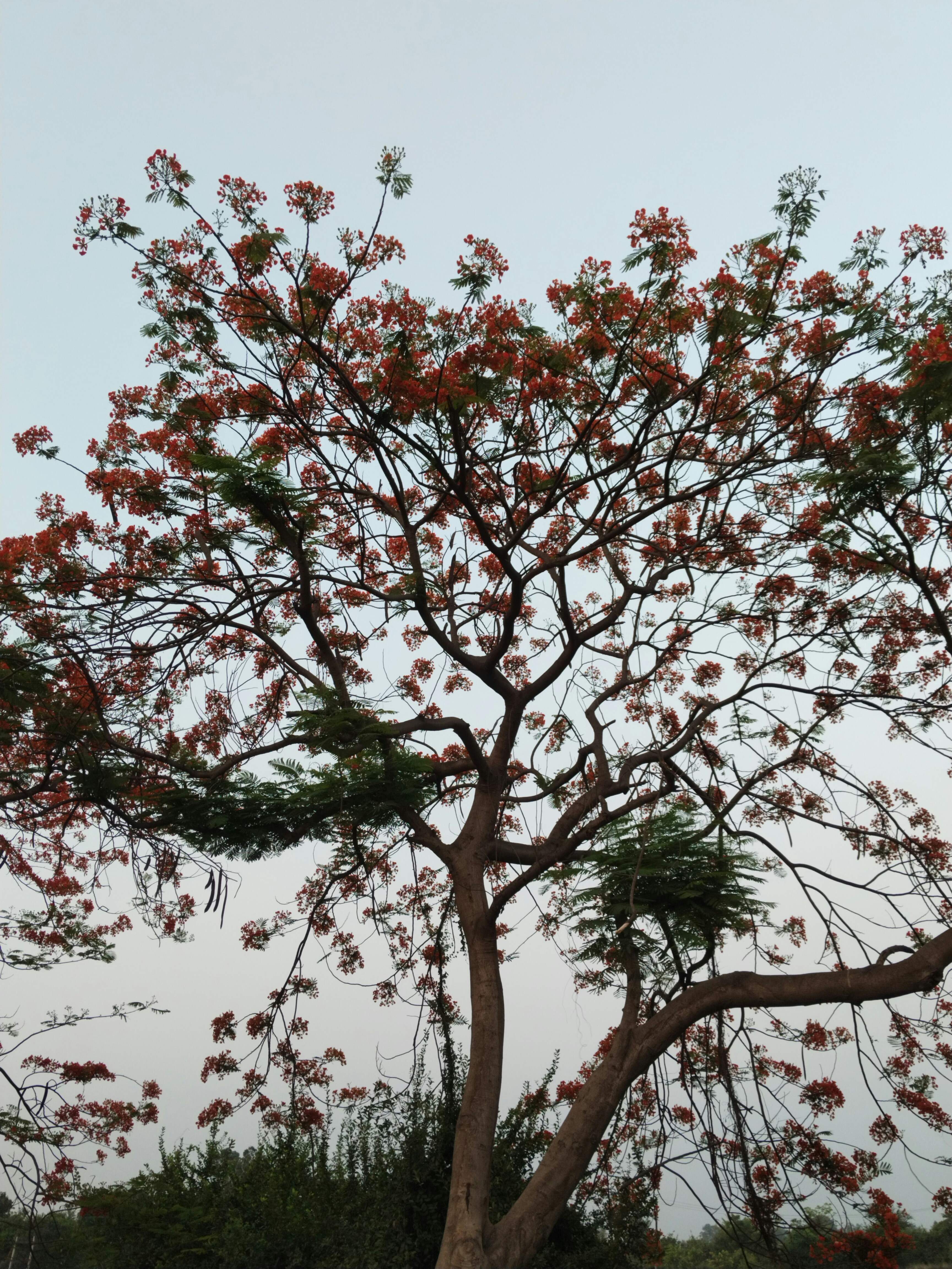 Photo by khushi_2006