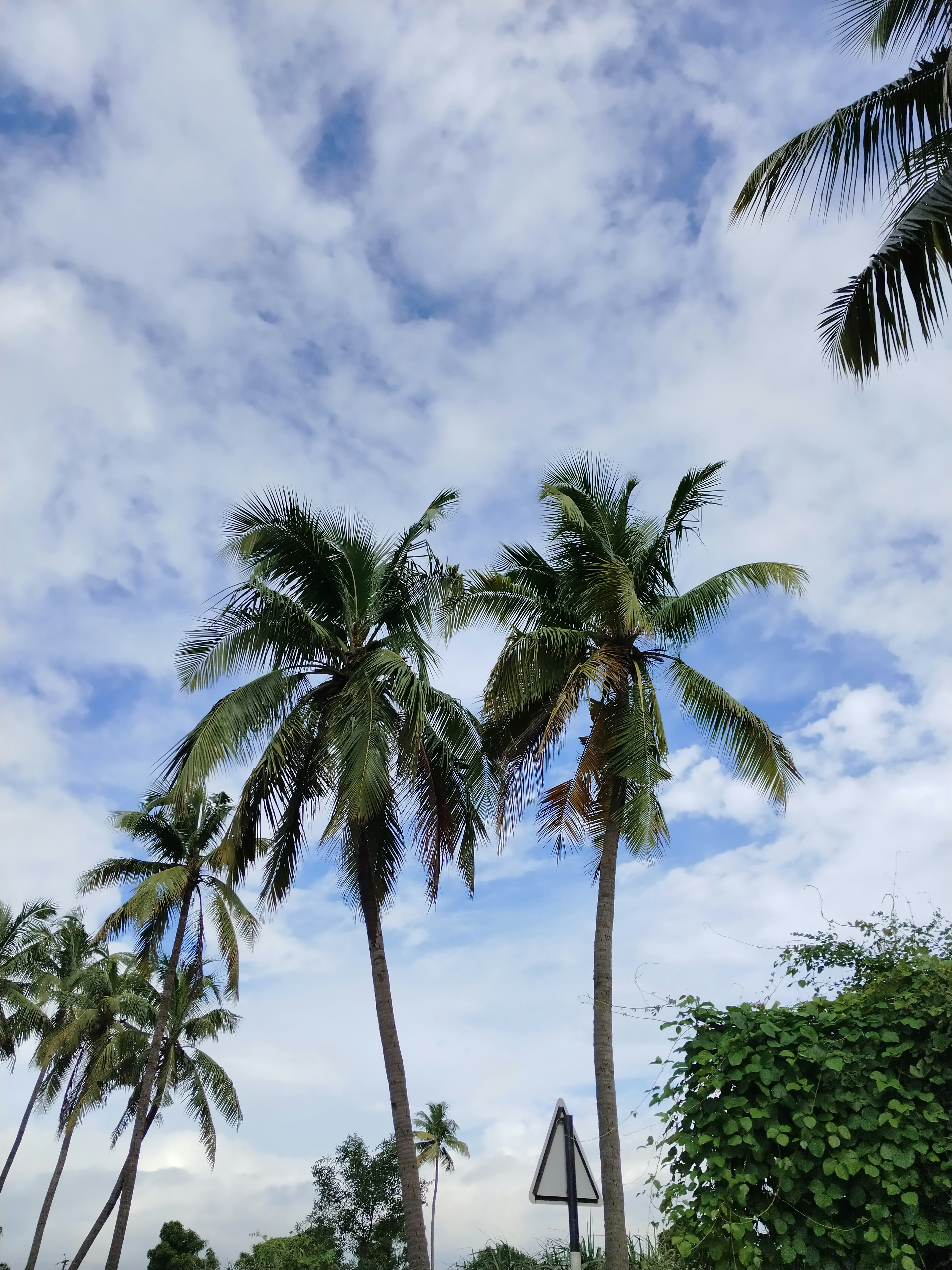 Photo by khushi_2006