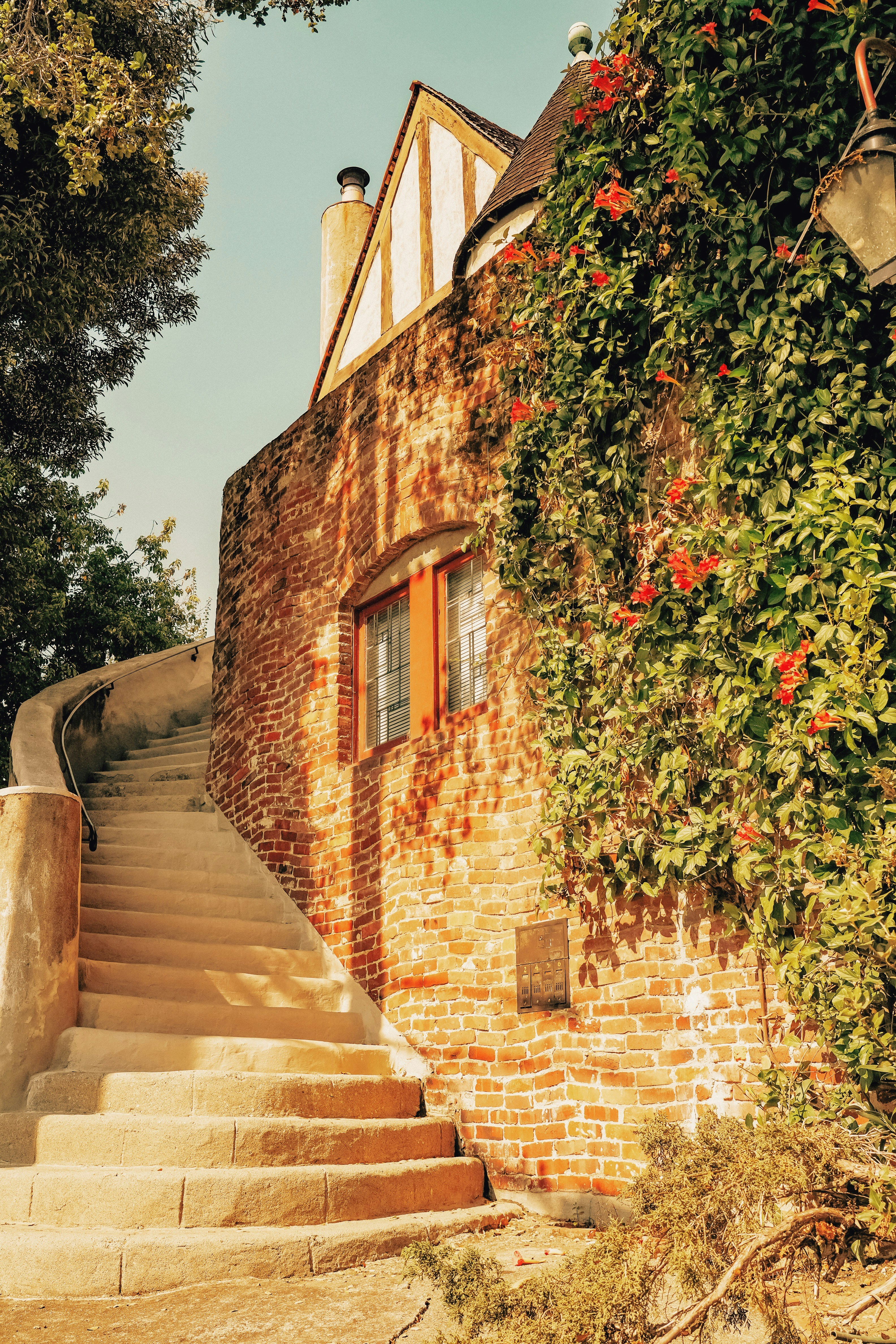 Photo by rayzhang369