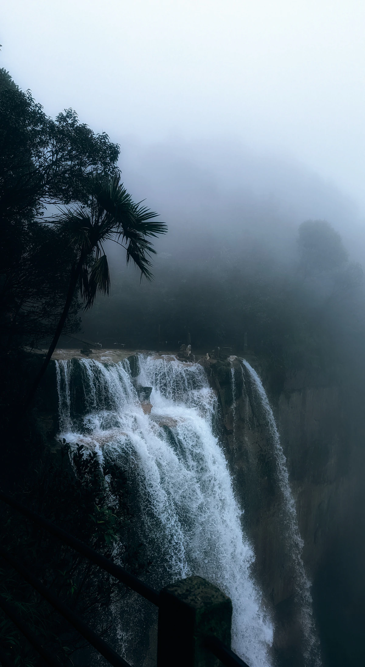 Meghalaya waterfall and forest