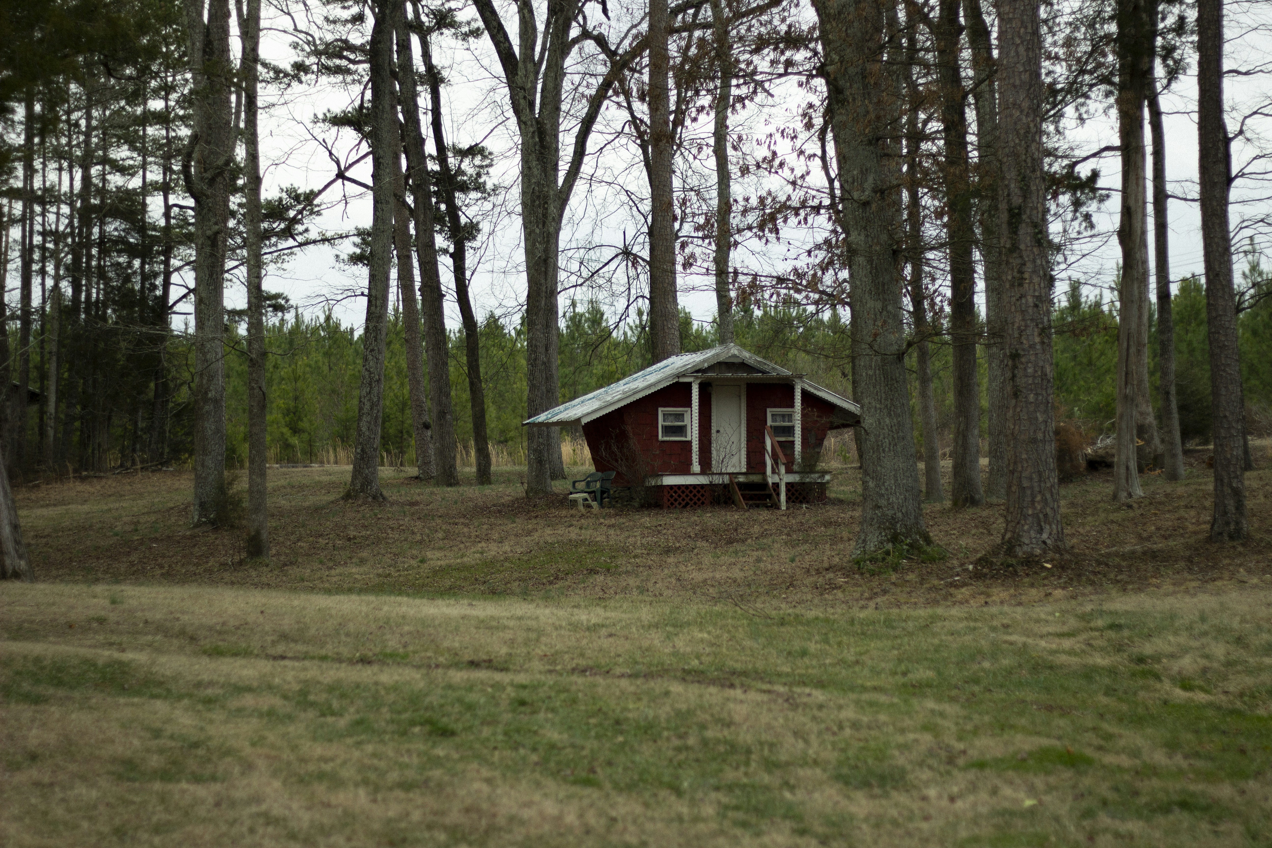 Photo by androidhammer