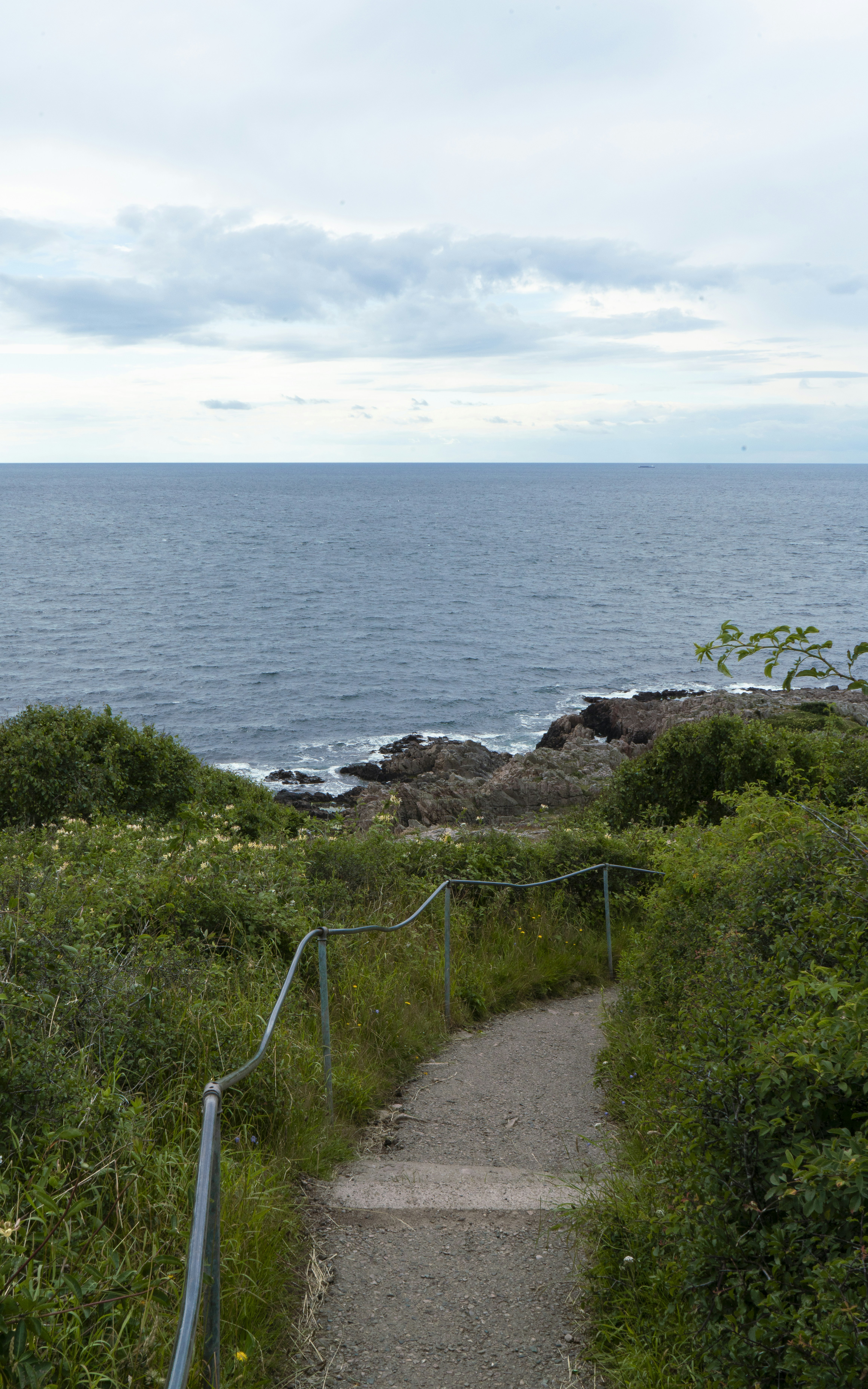 A path leading to the ocean on a cloudy day