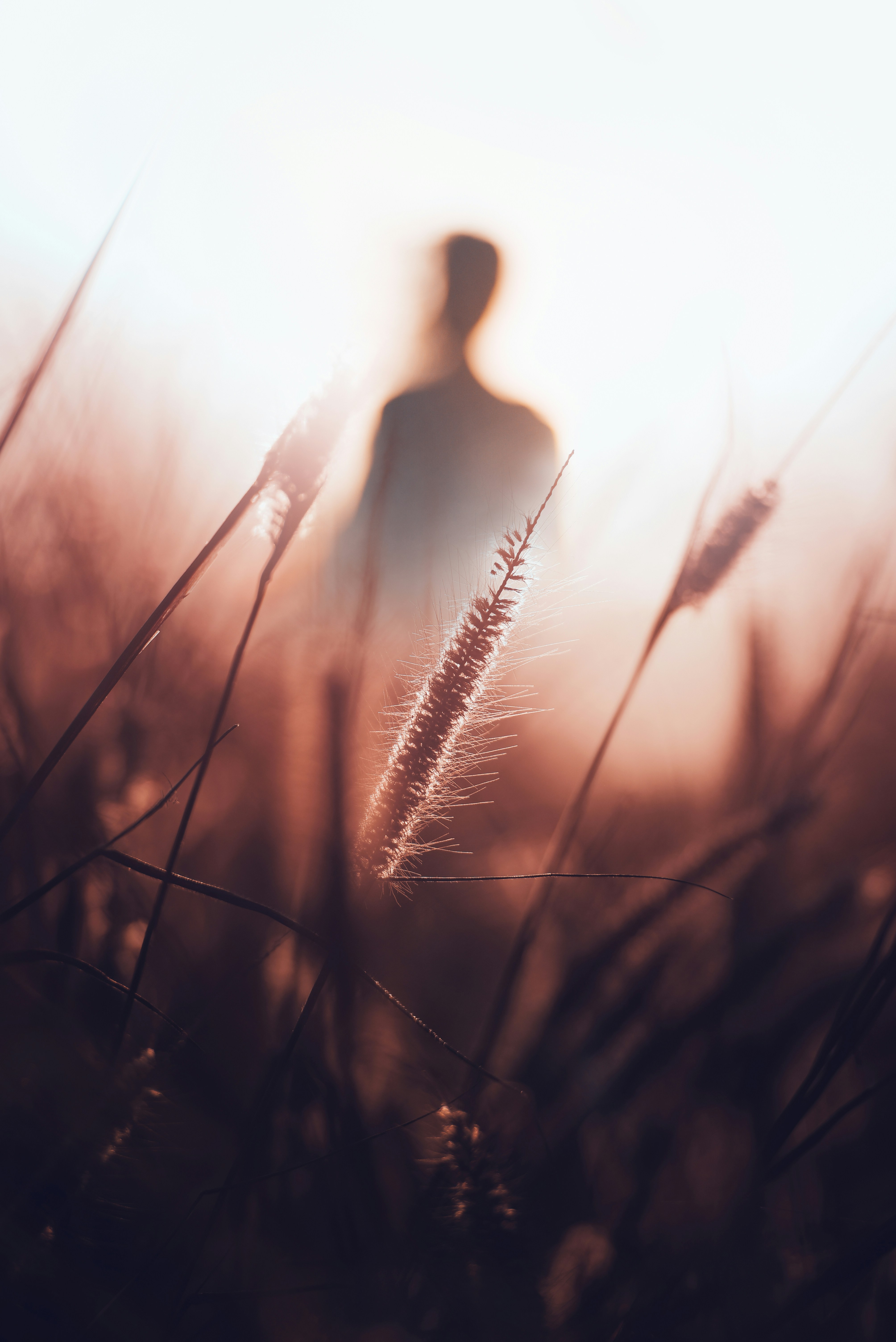 A person standing in a field of tall grass
