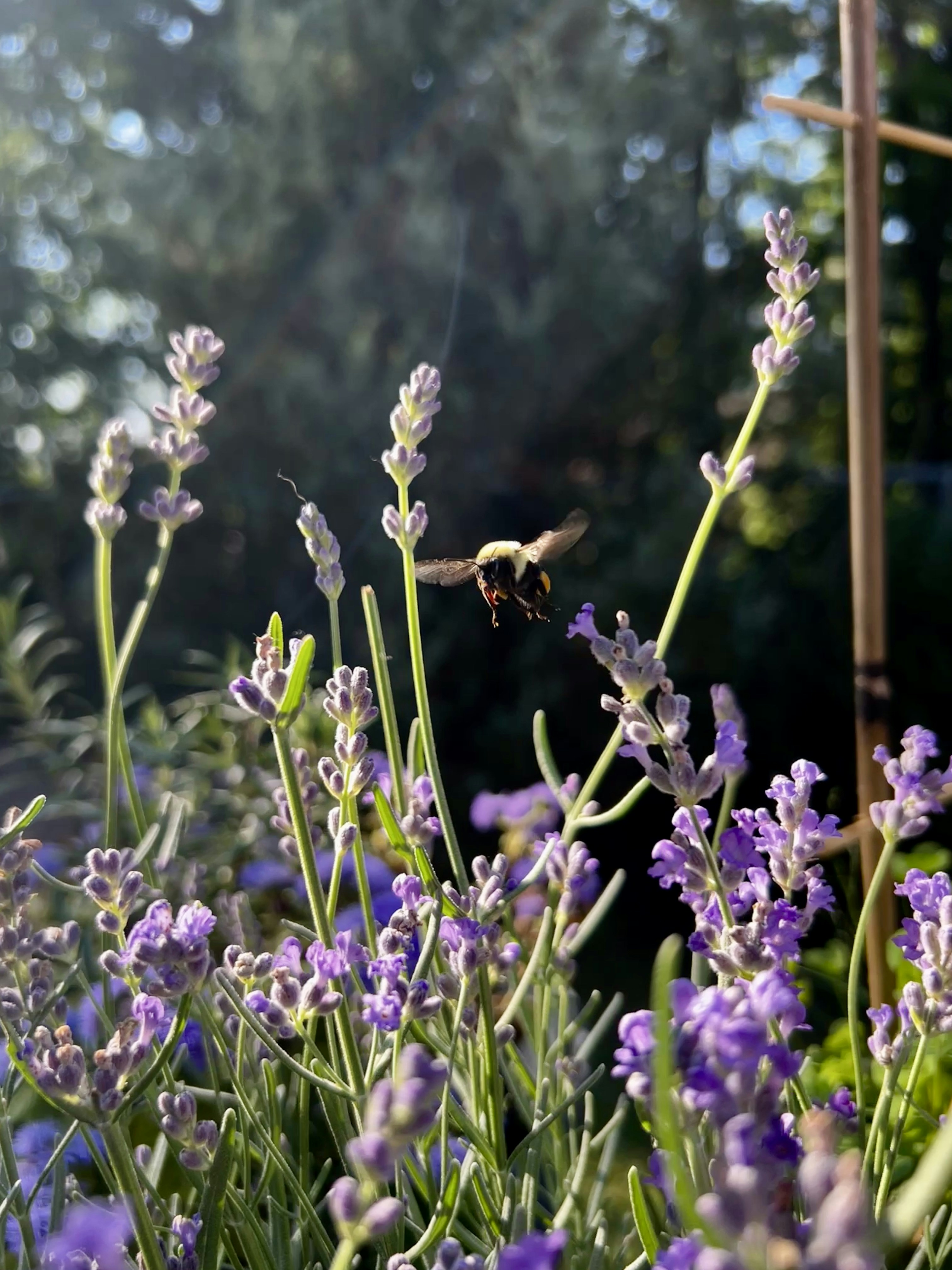 Photo by alannajoanne