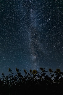 A view of the night sky with the milky in the background