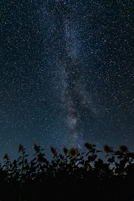 A view of the night sky with the milky in the background