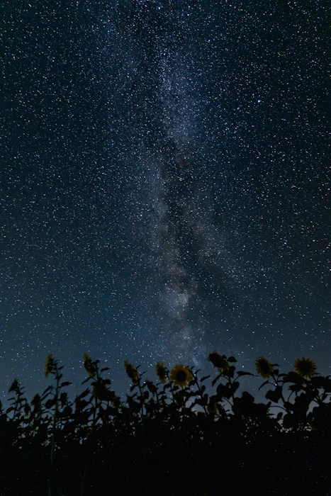 Observation des étoiles au Semnoz