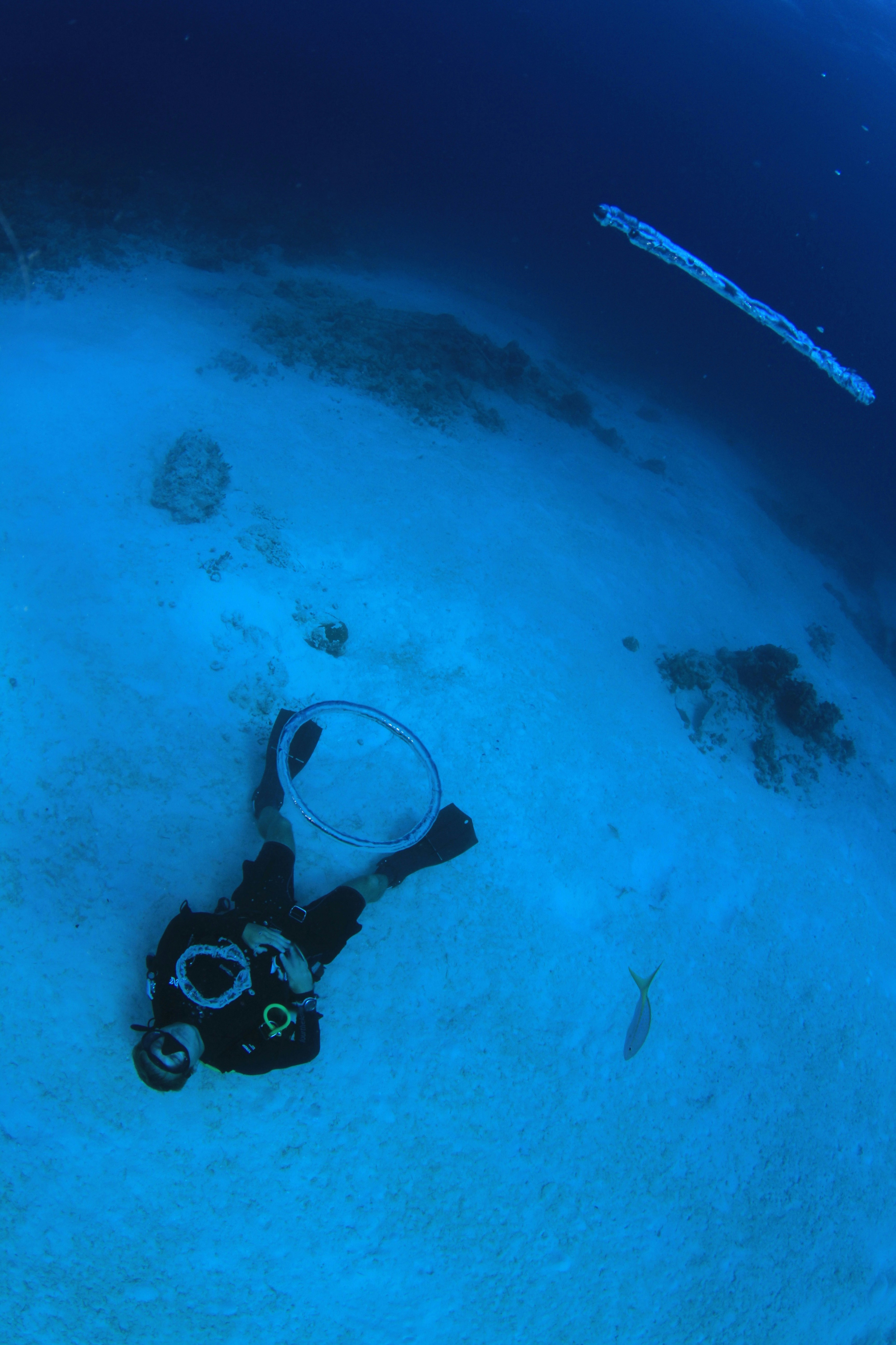 Une personne en combinaison de plongée plongeant dans l’océan