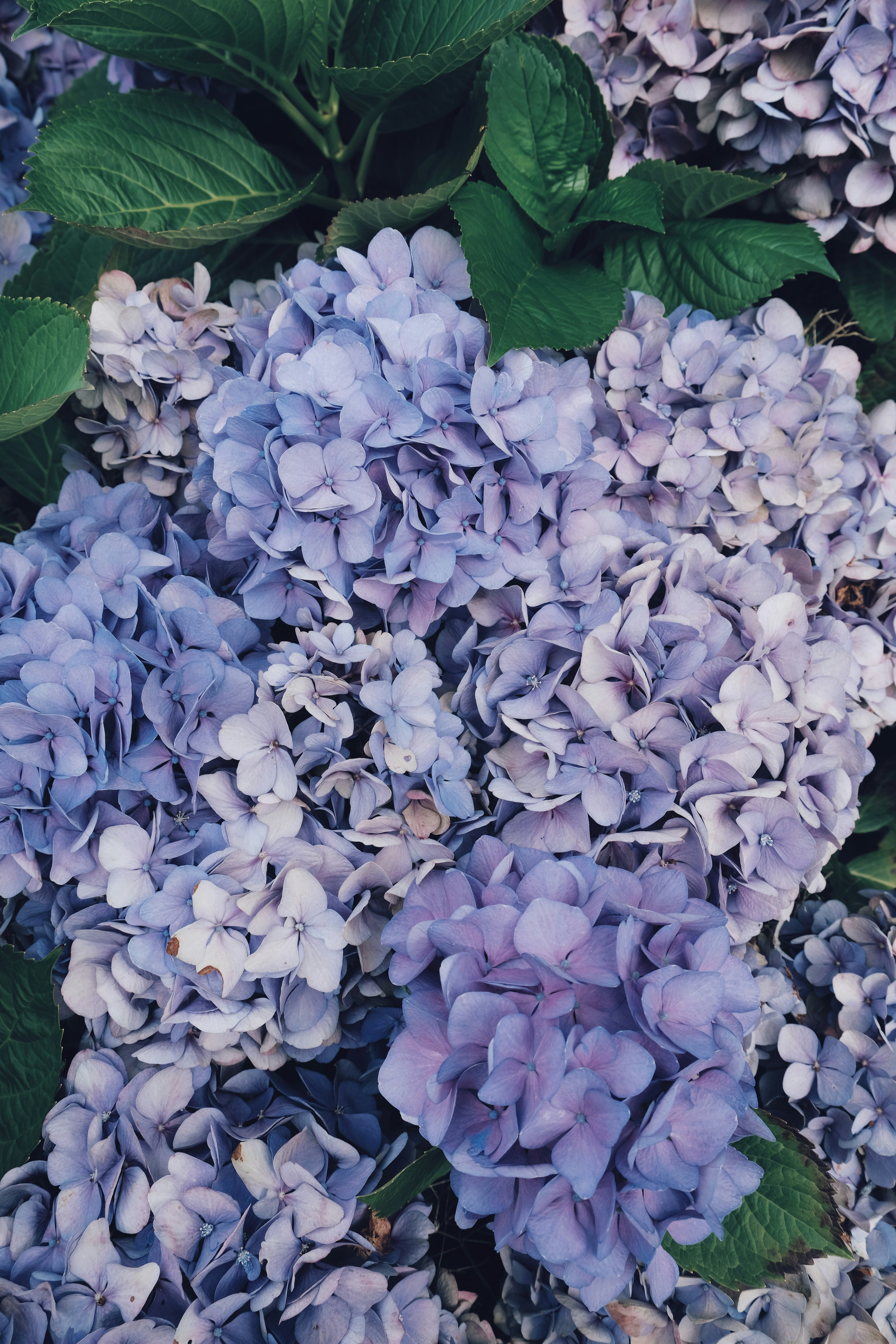 Photo by mehmetdemiral