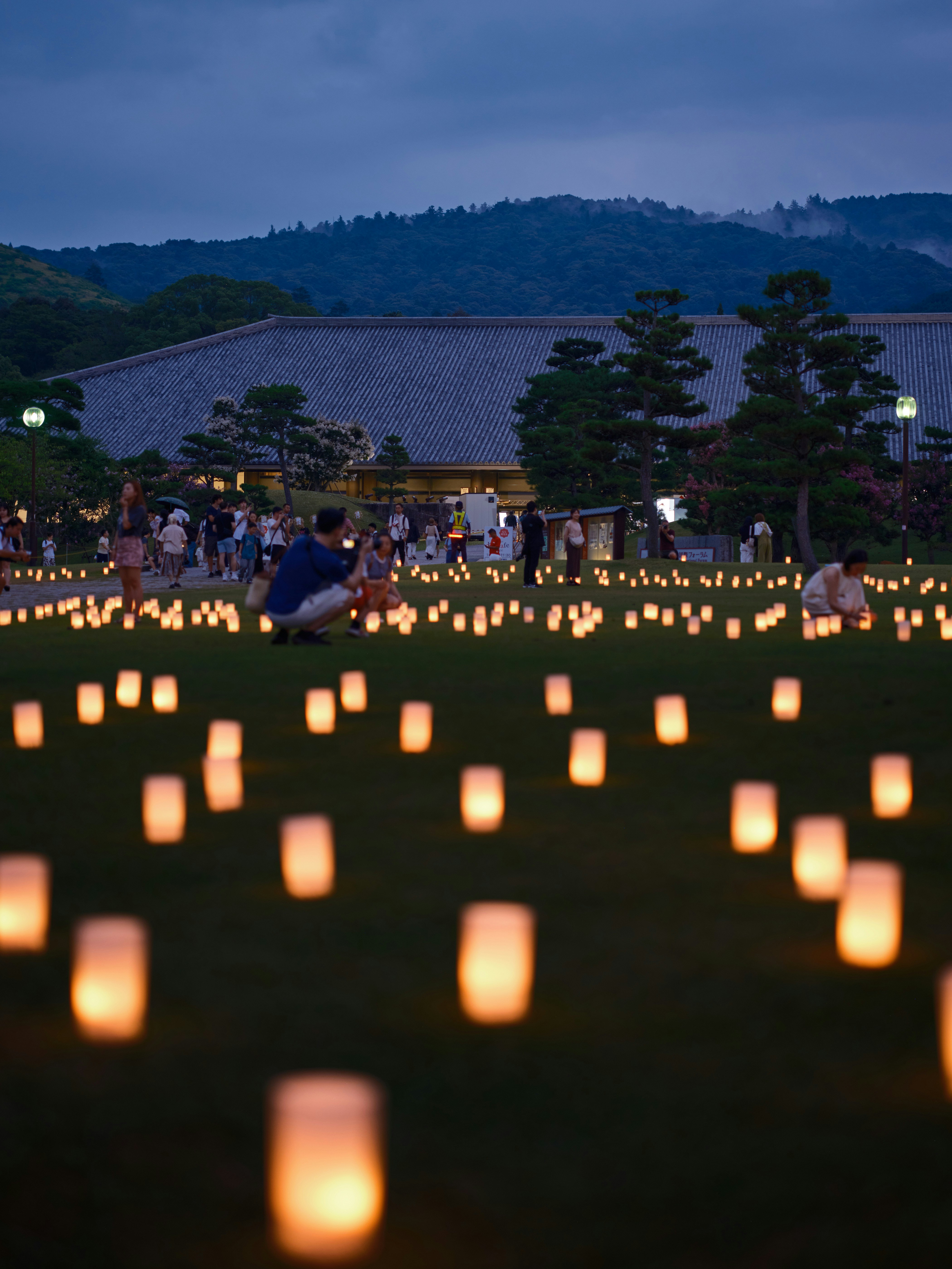 A field full of lit up paper lanterns