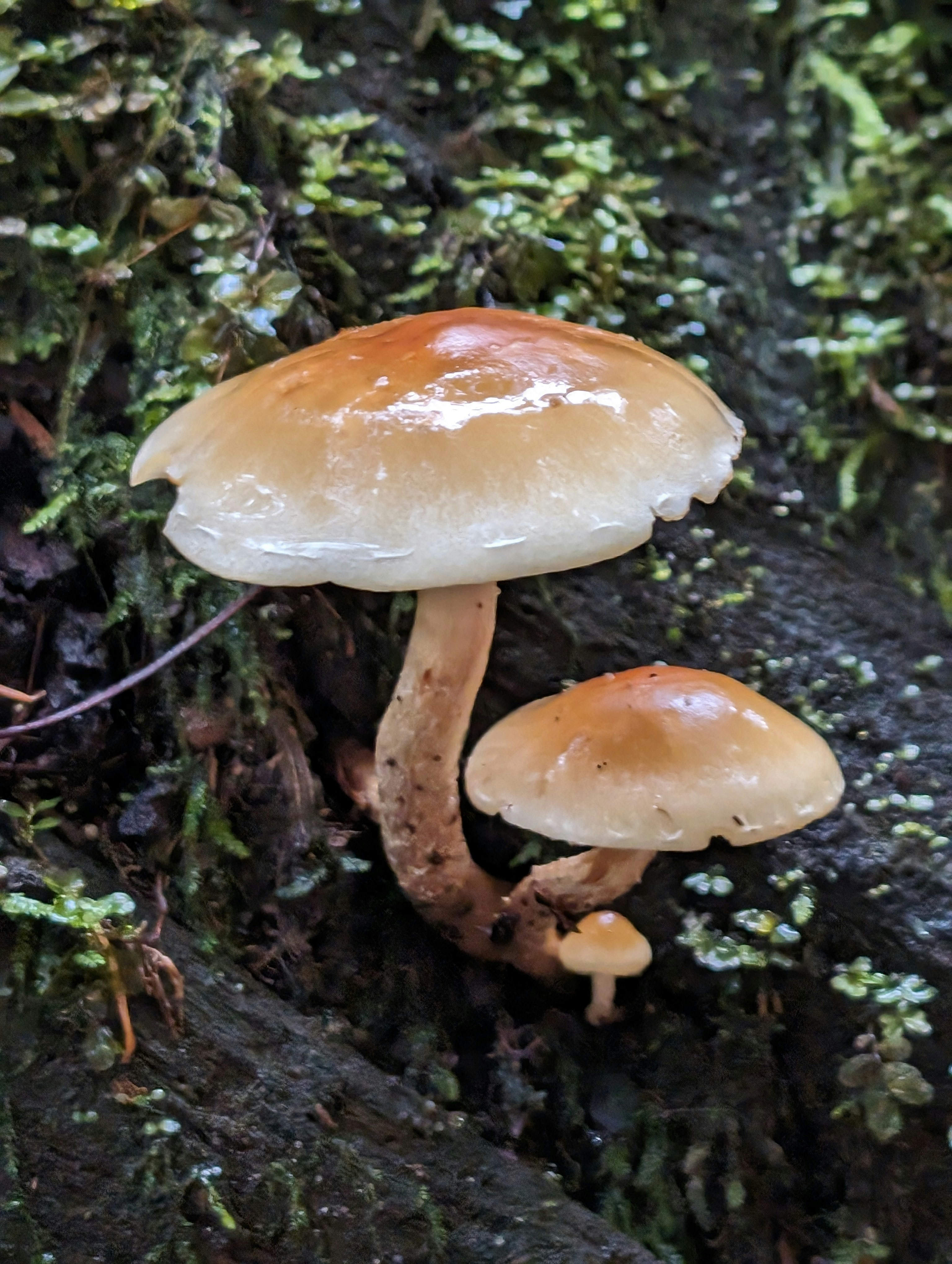 Photo by allsadwords