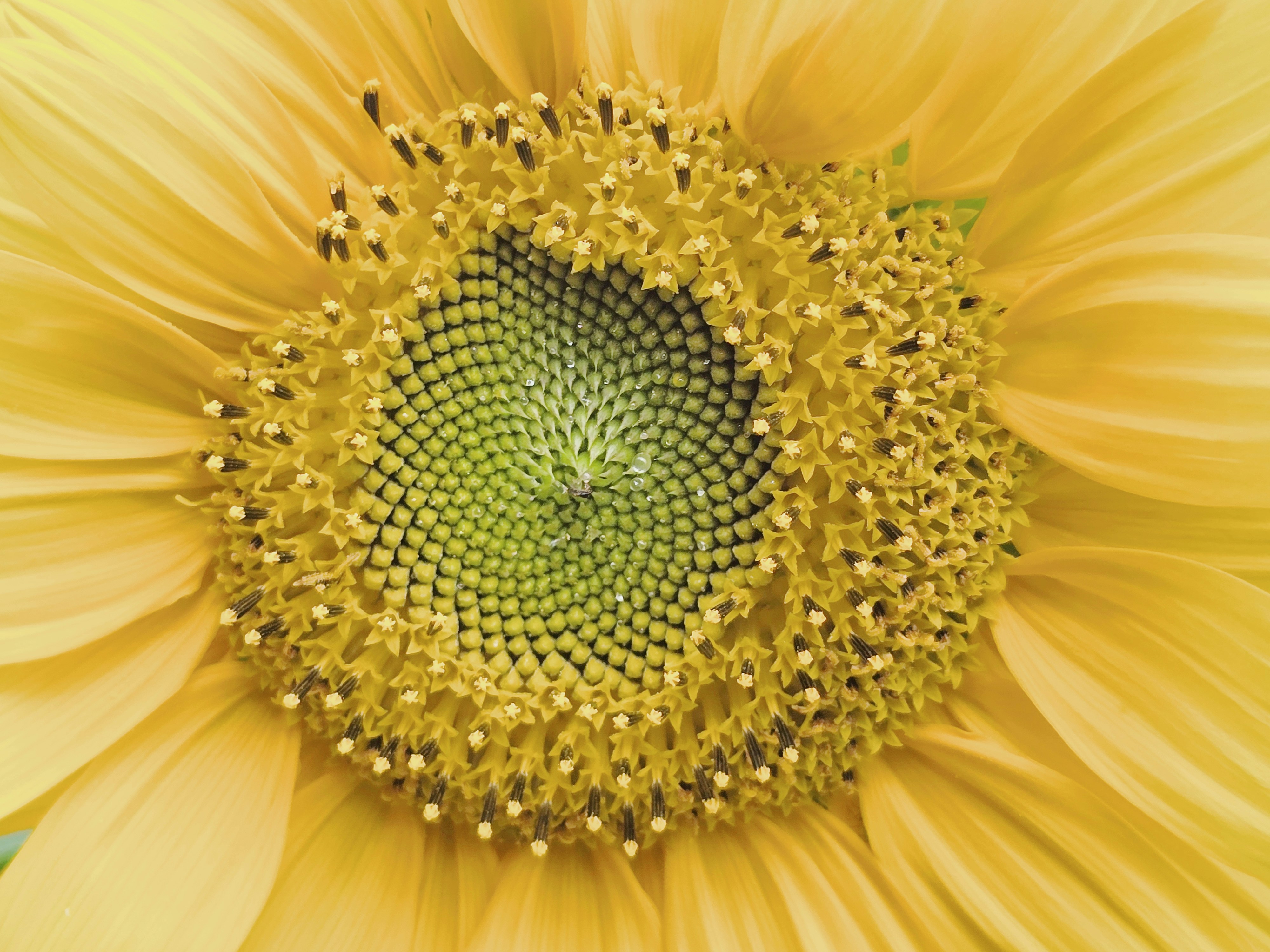 Photo by mehmetdemiral