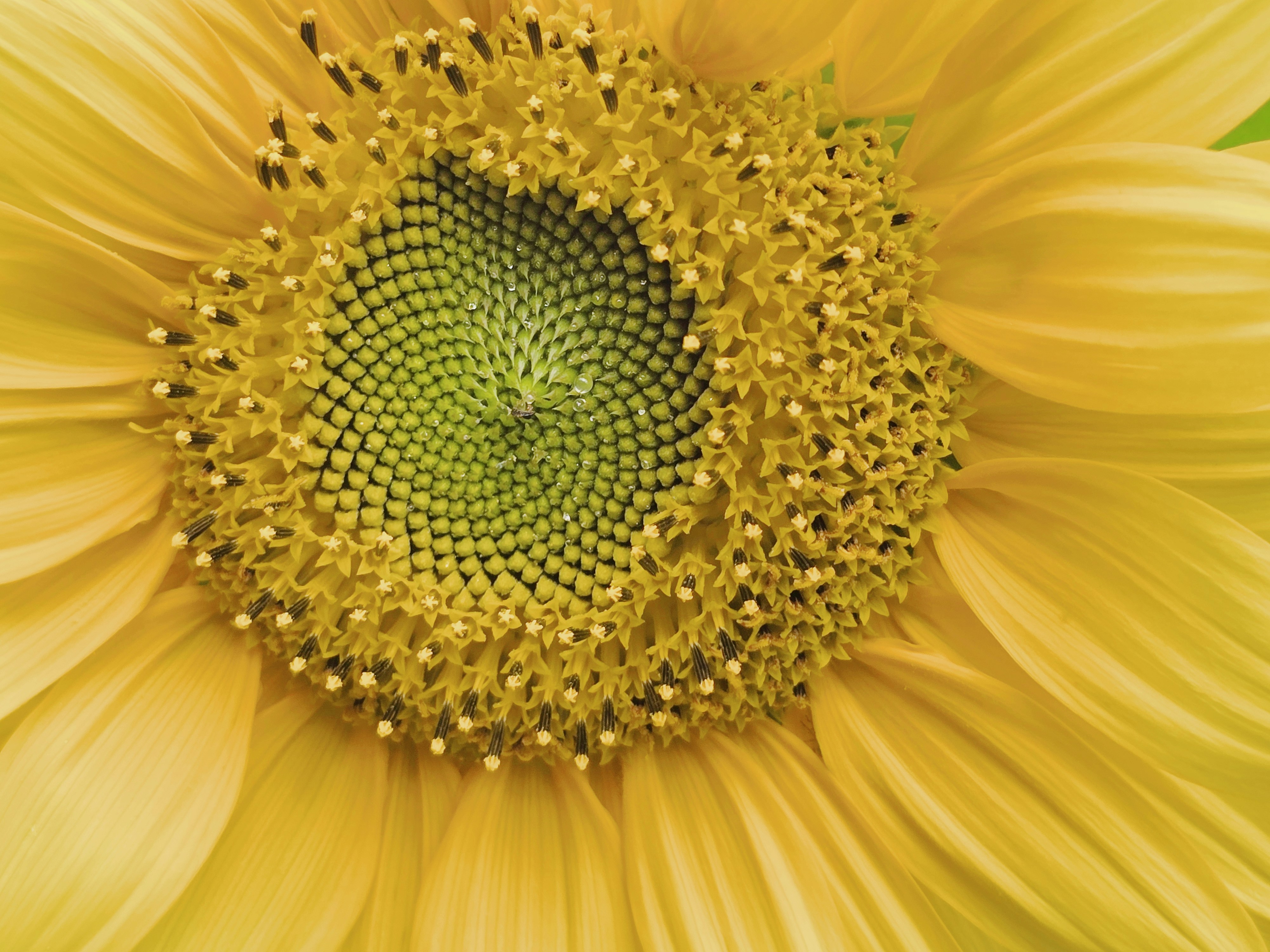 Photo by mehmetdemiral