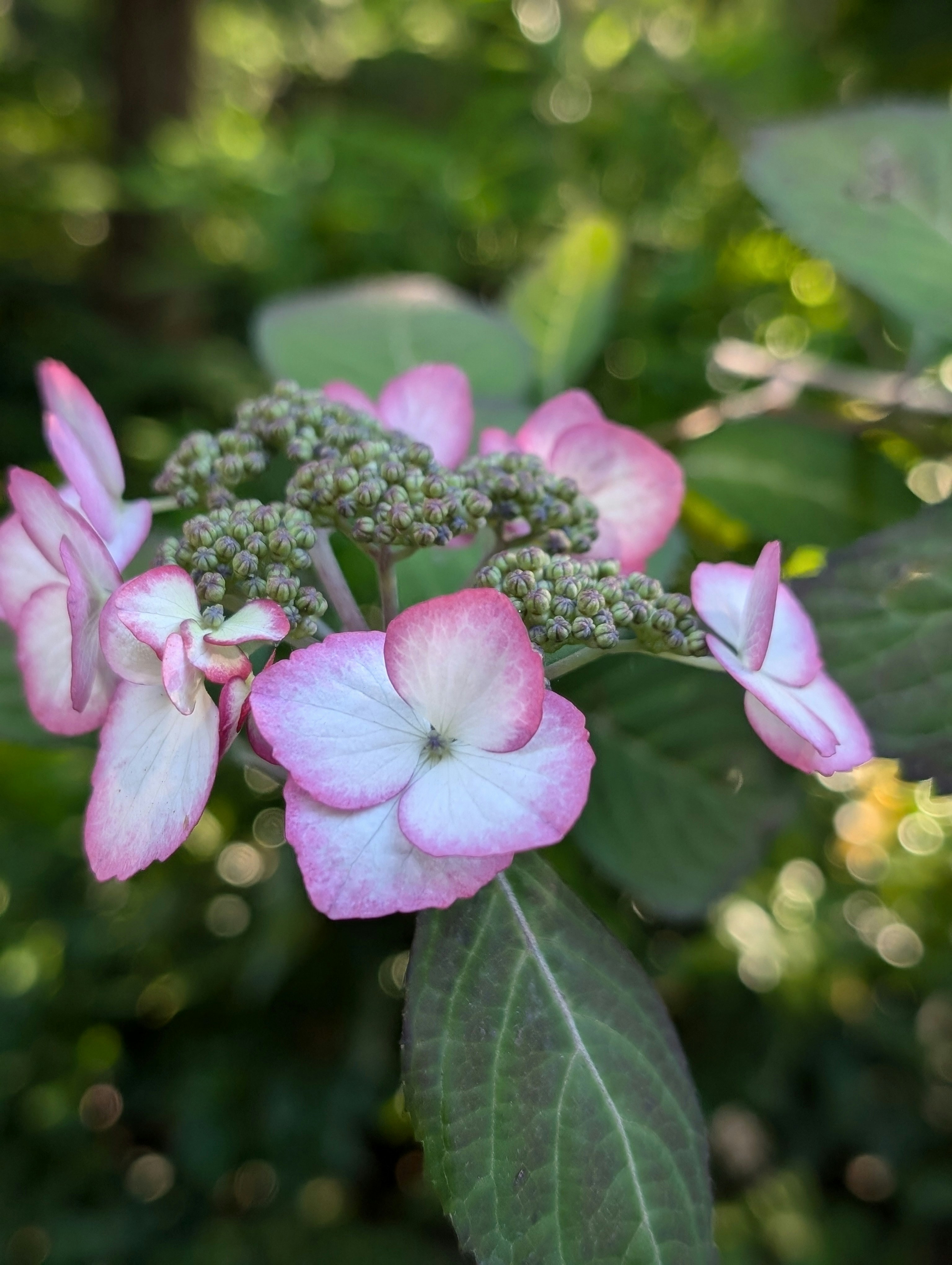 Photo by allsadwords