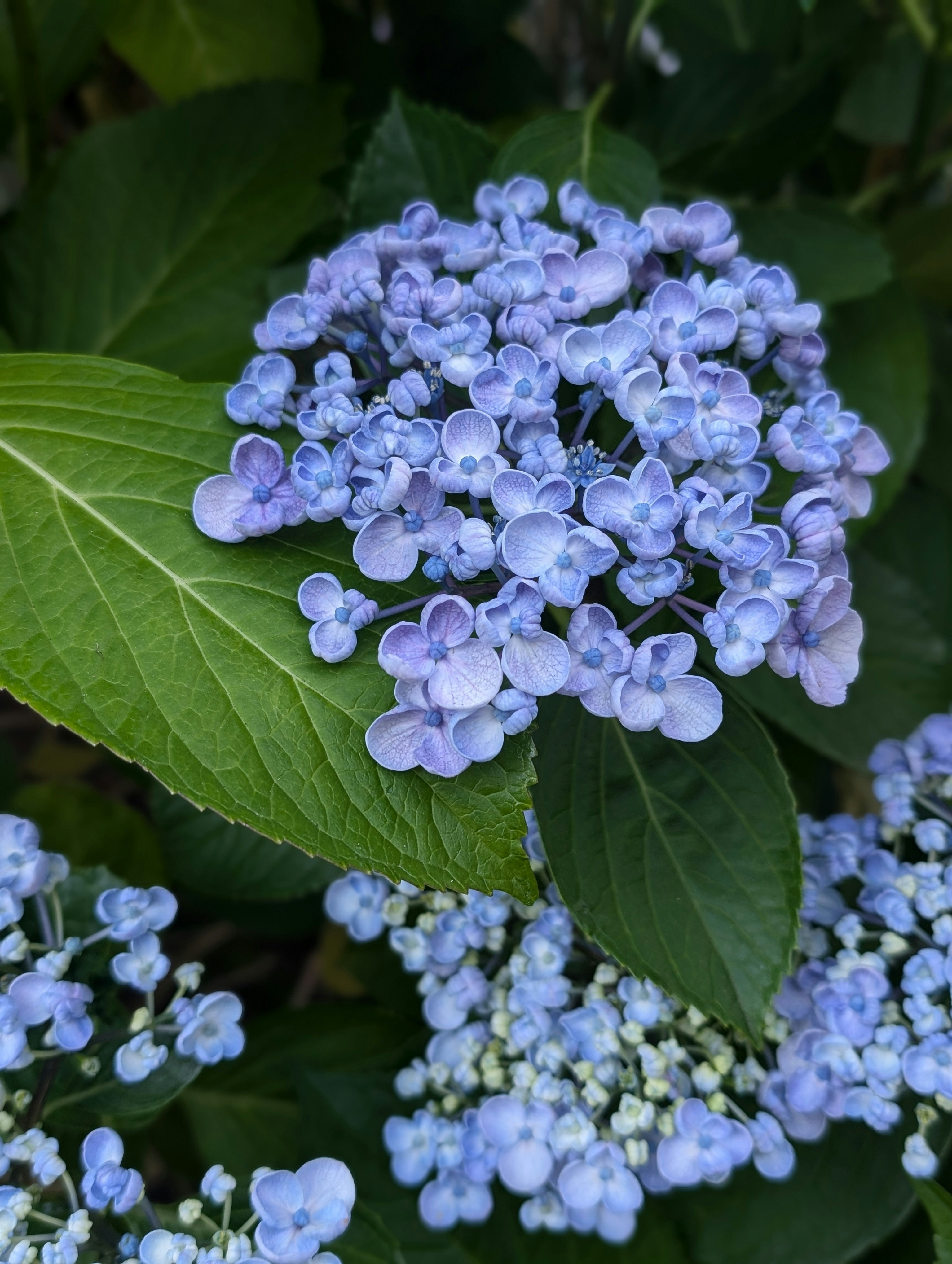 Photo by allsadwords