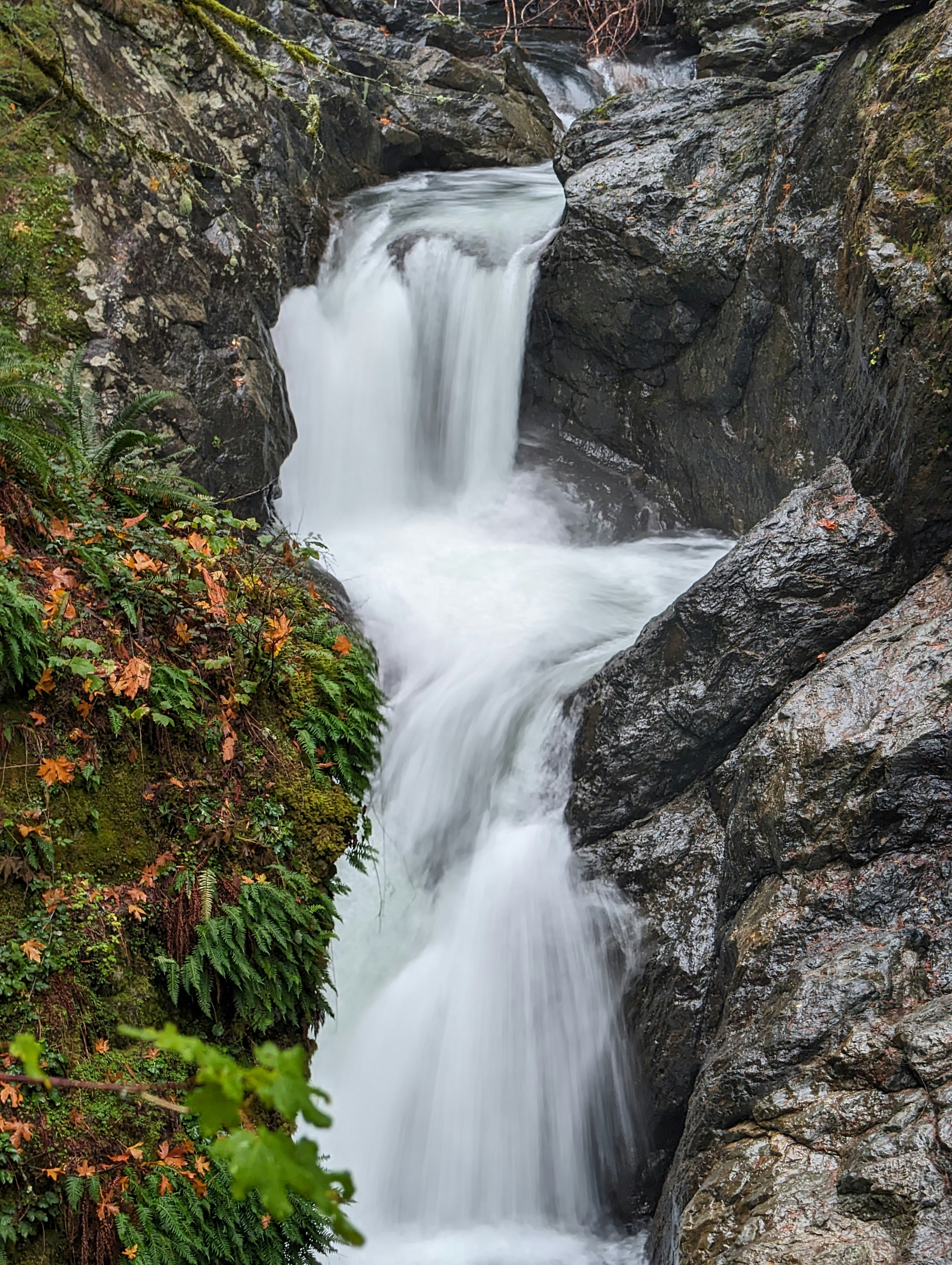 Photo by allsadwords