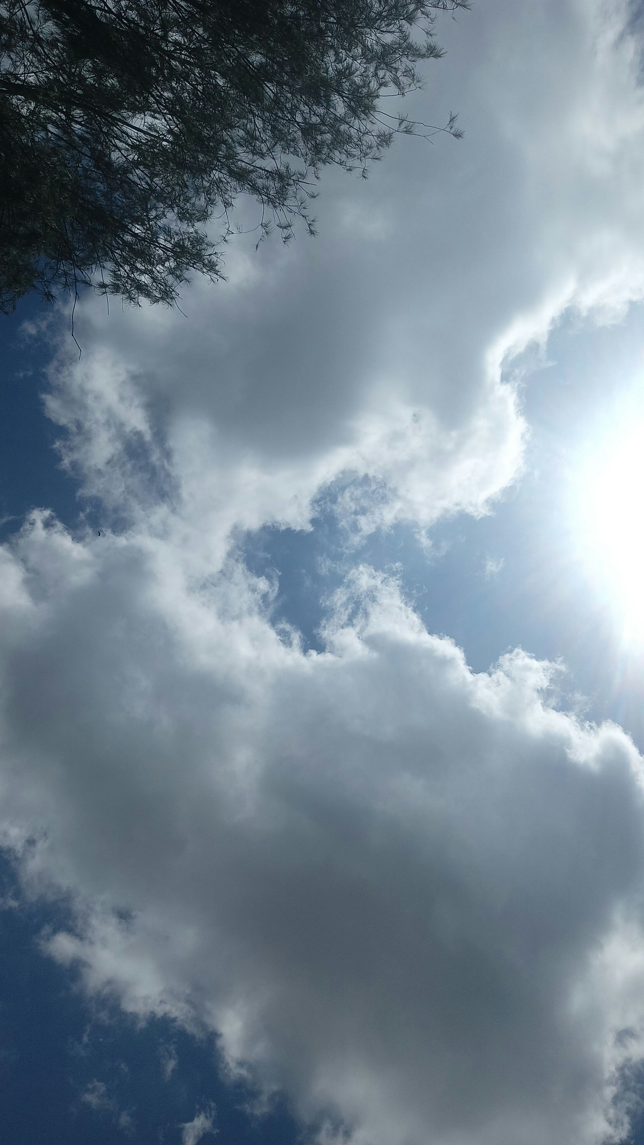 Photo by abigailvijetha