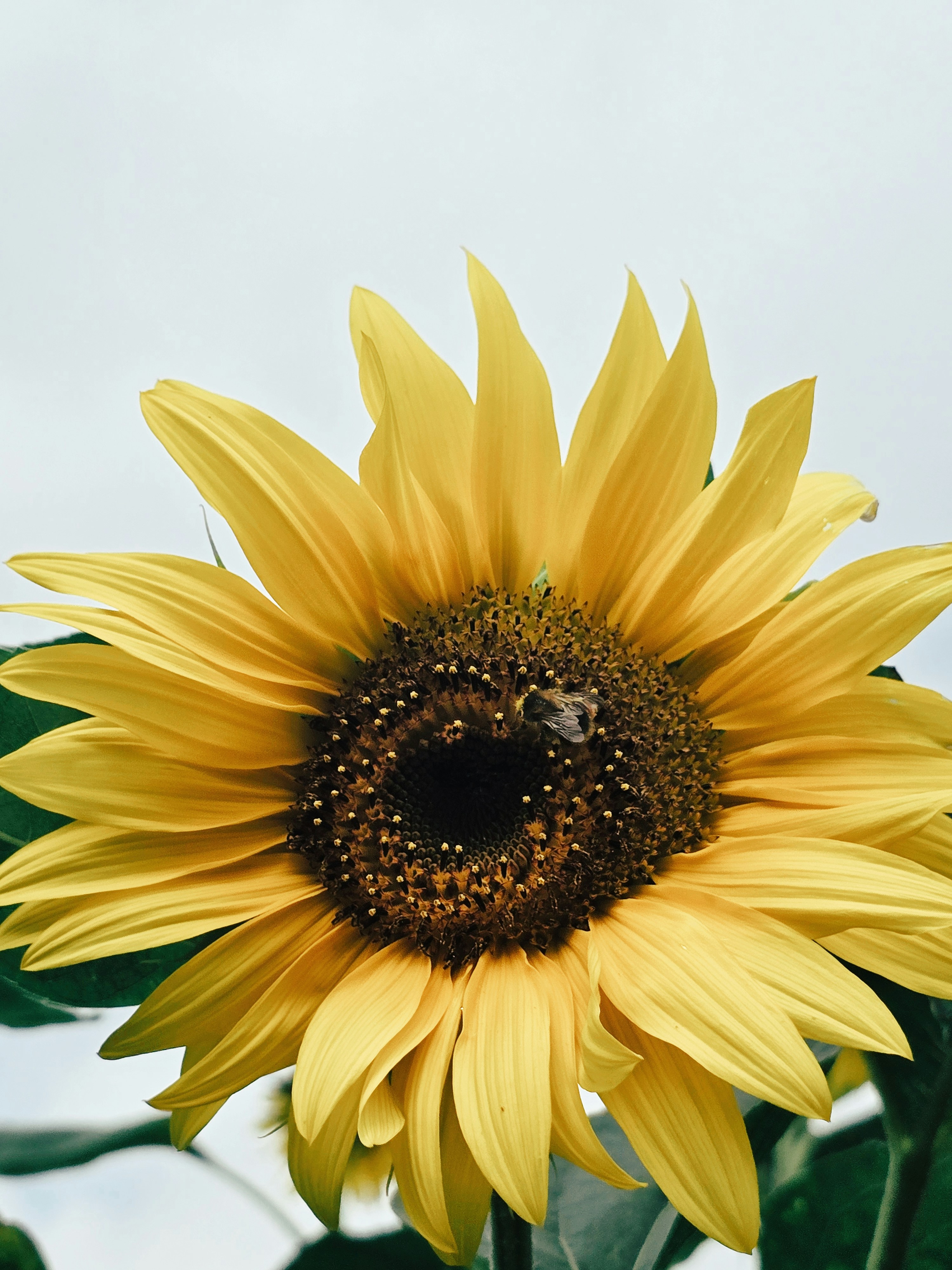 Photo by mehmetdemiral