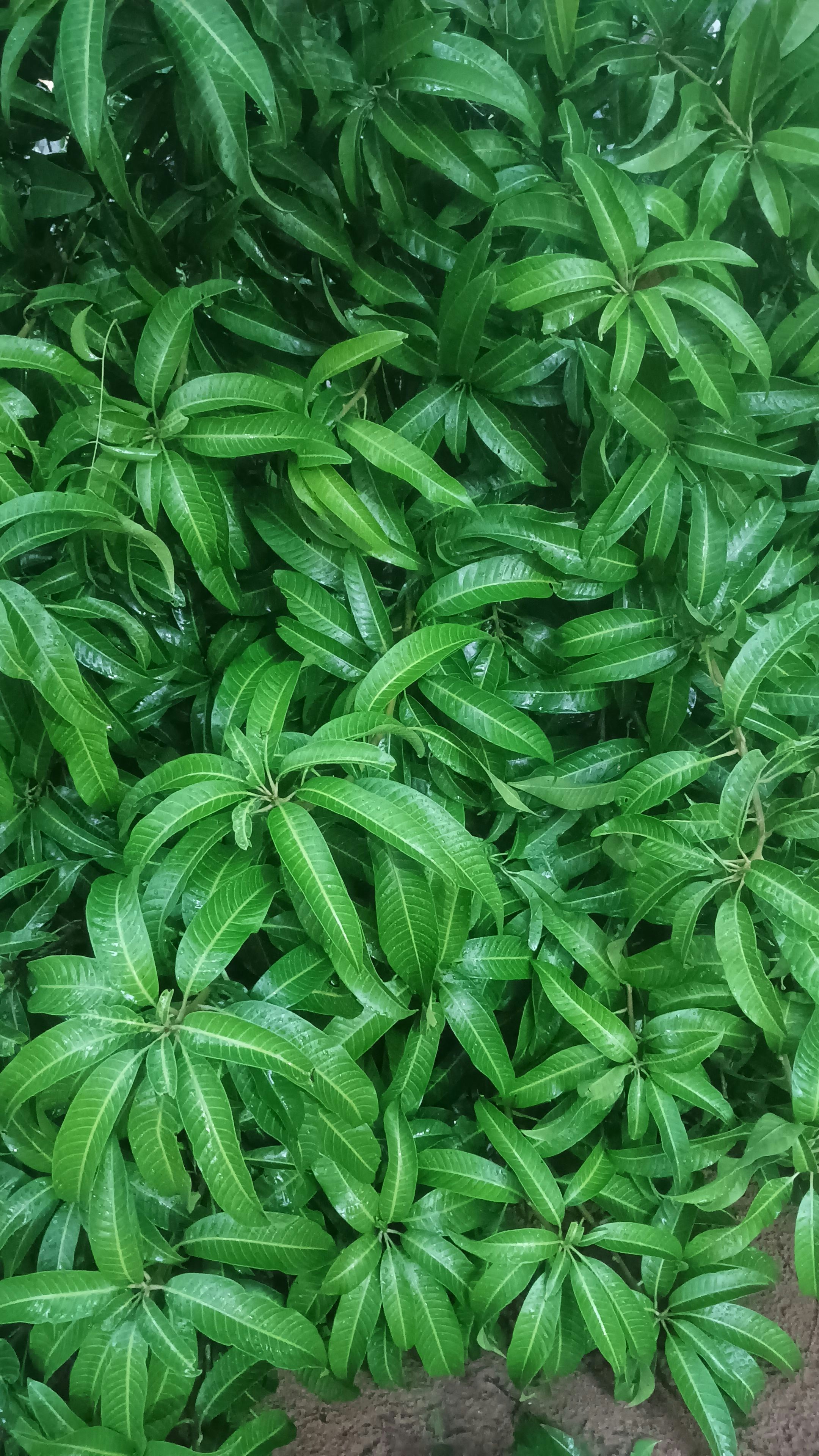 Photo by abigailvijetha