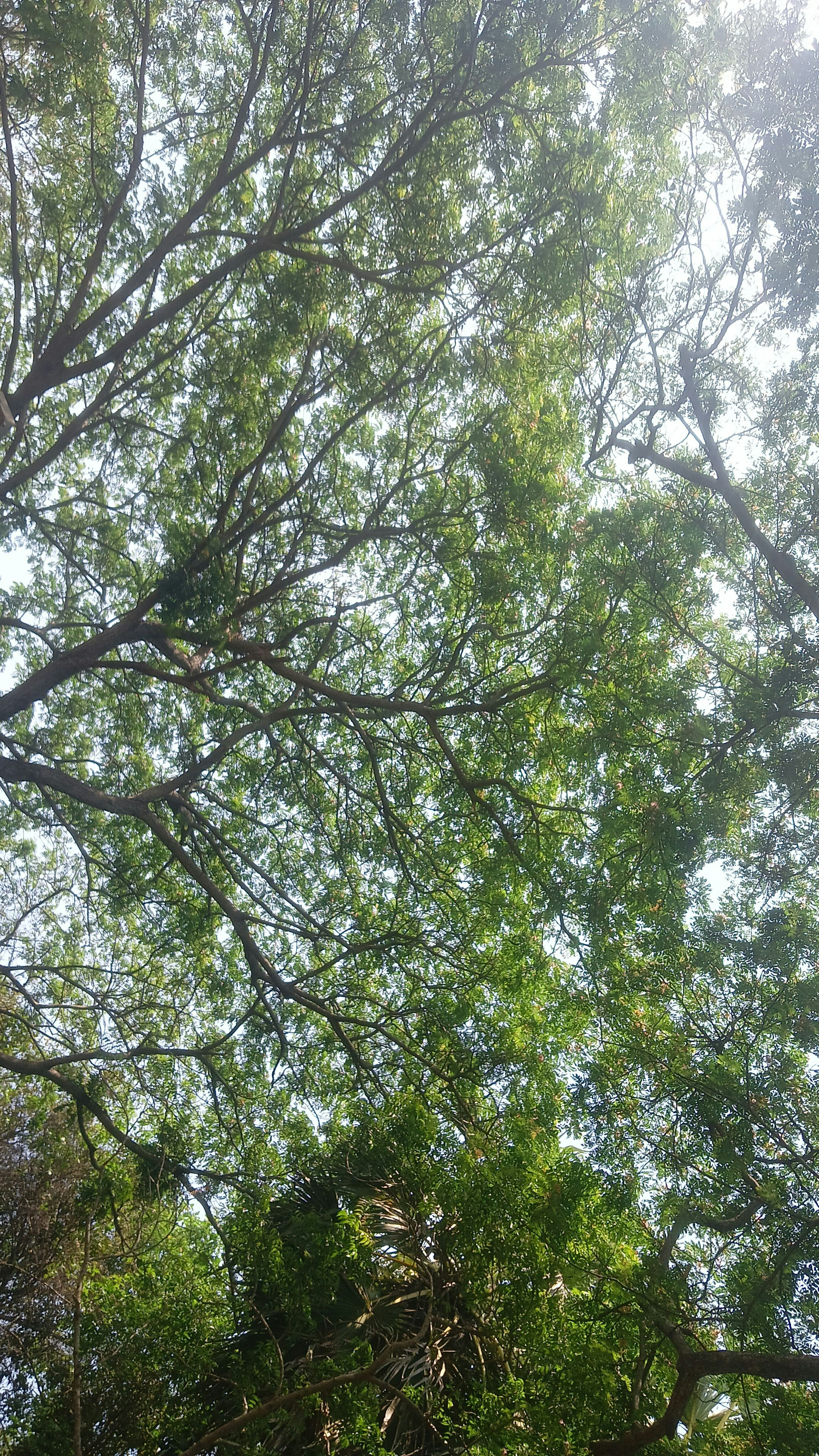 Photo by abigailvijetha