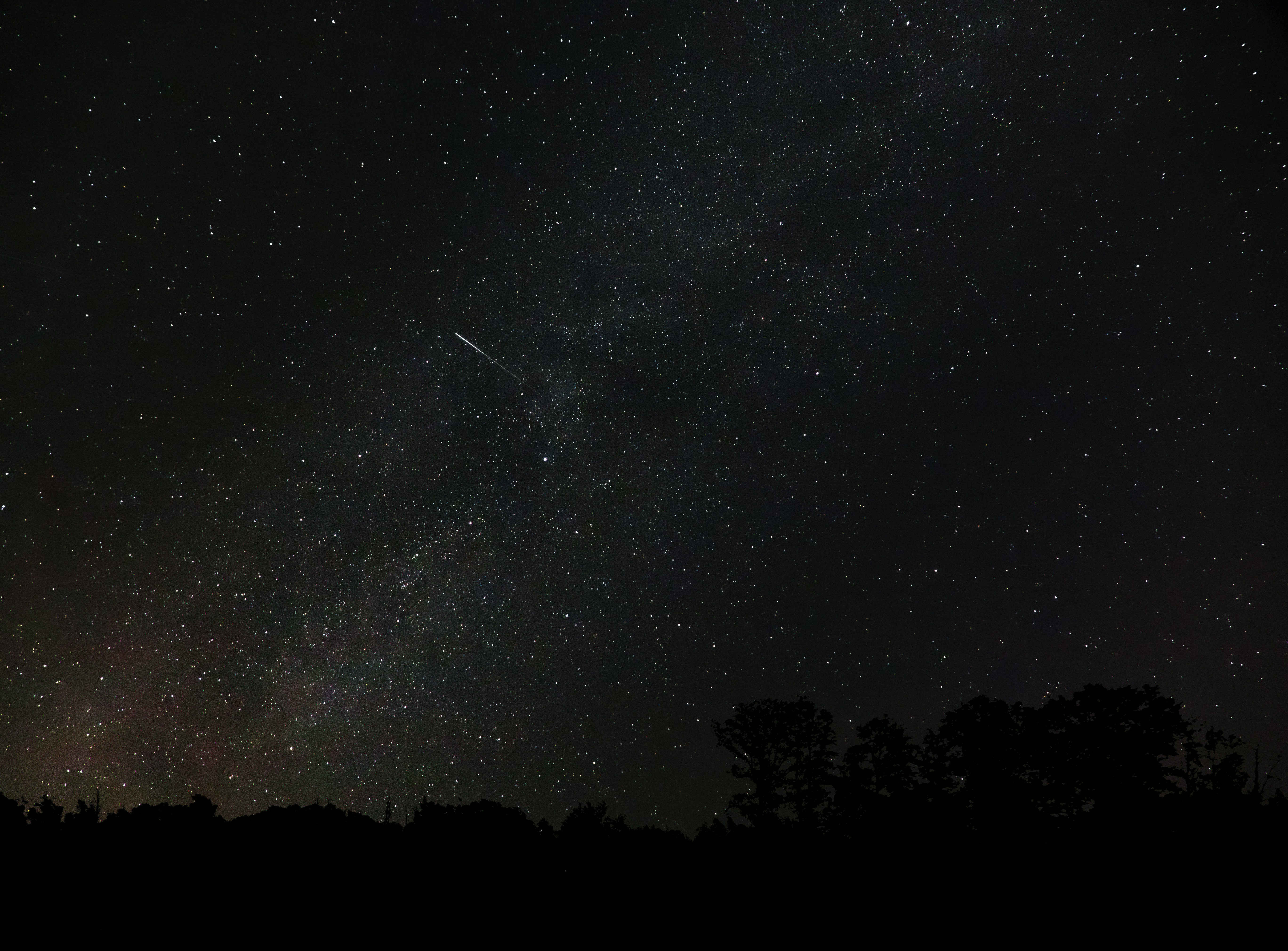 The night sky is filled with stars and trees