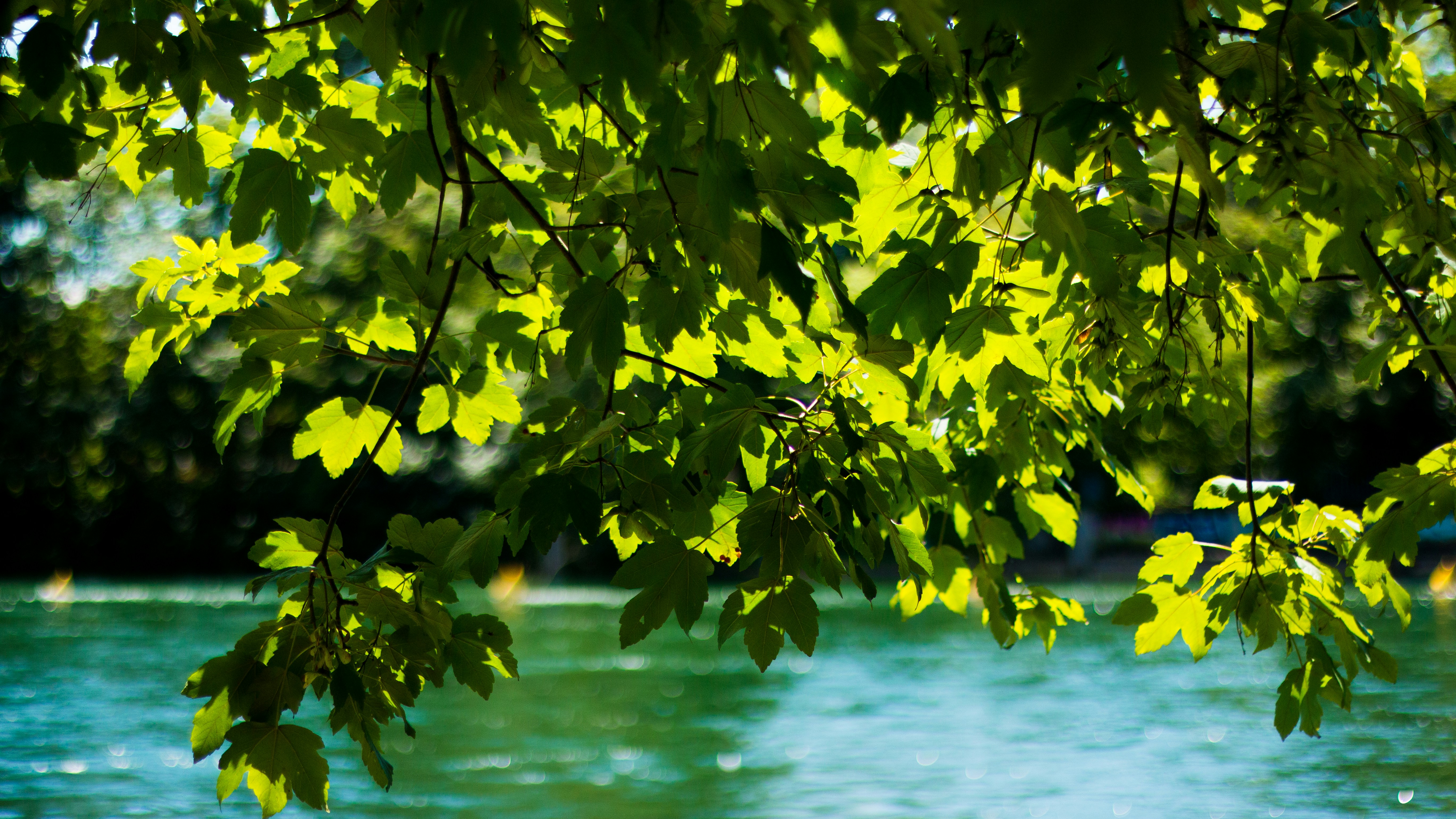 Photo by oconnorstudios