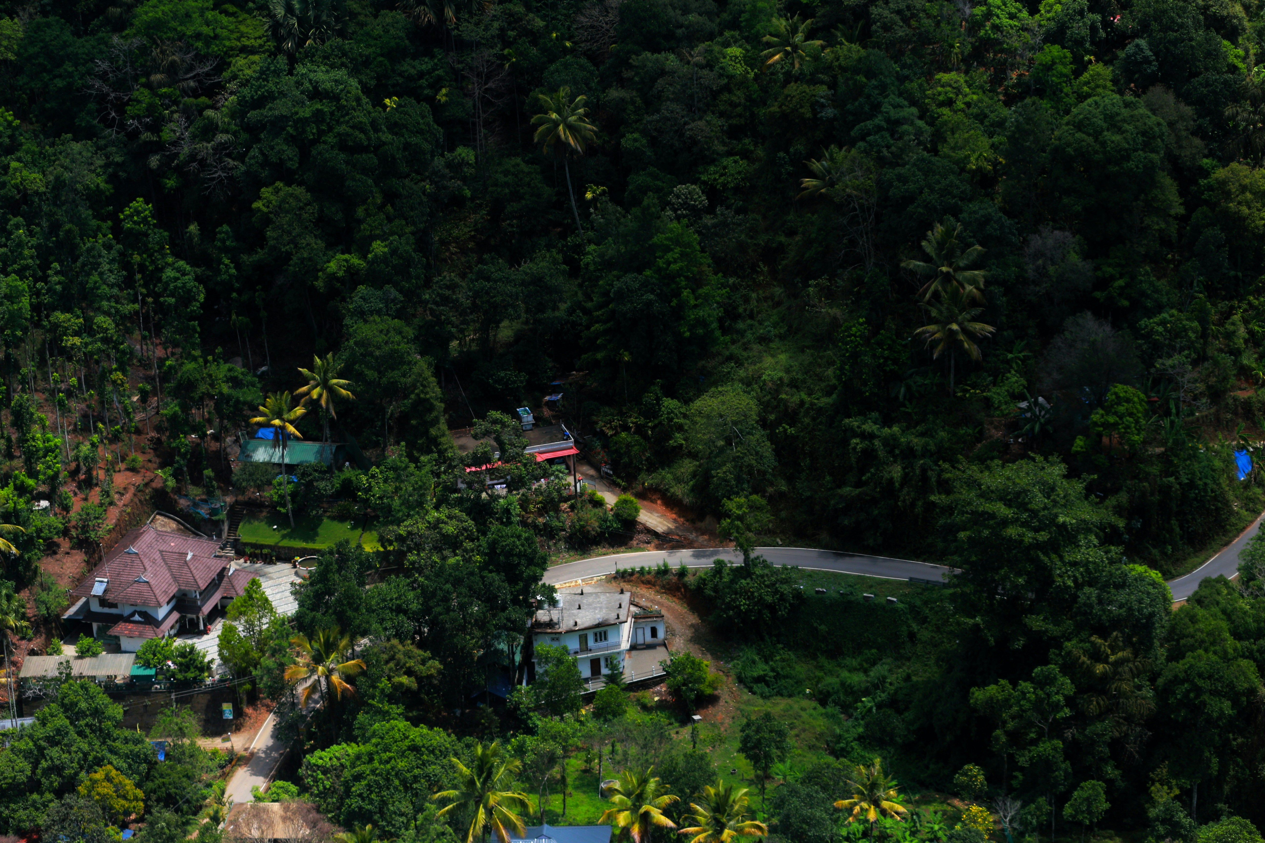 Photo by saiteja_varma