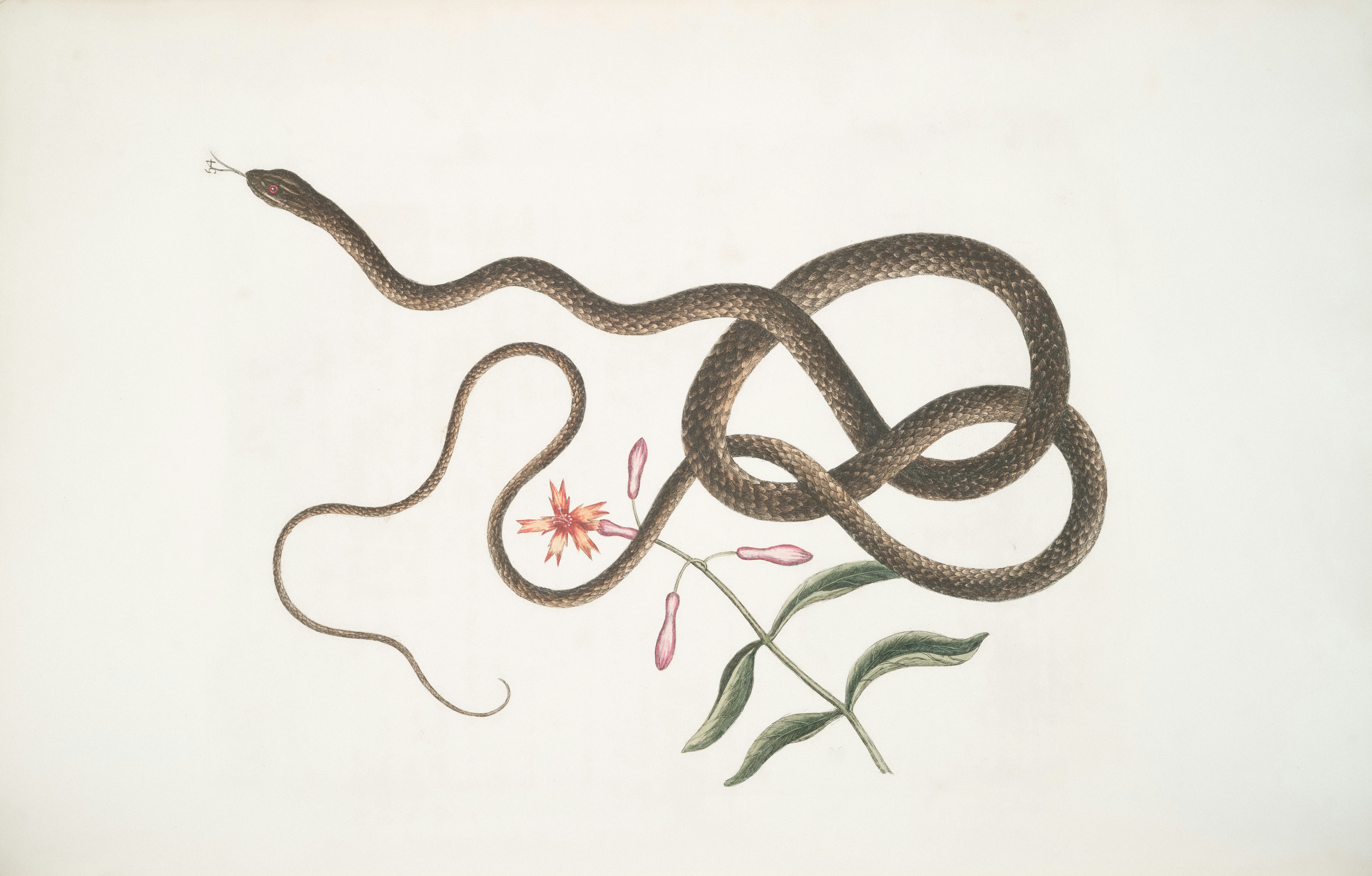 Image de Dj Snake dévoile enfin la date de sortie de « Nomad » : rendez-vous le 7 novembre