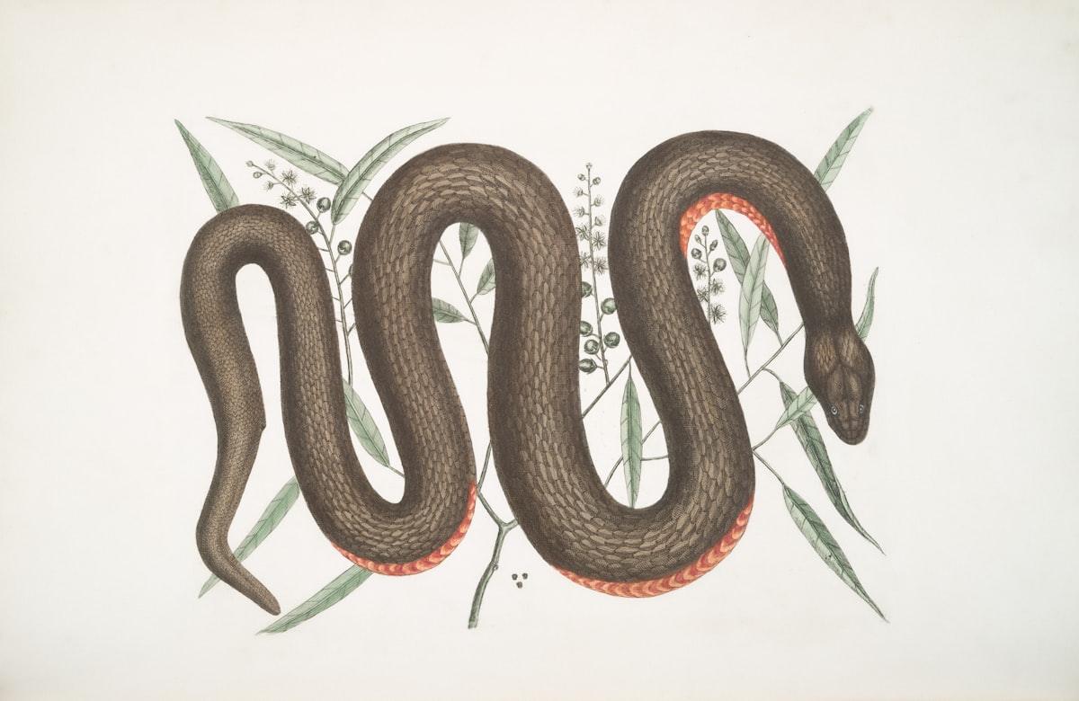 Число життєвого шляху в нумерології: як розрахувати та що означає