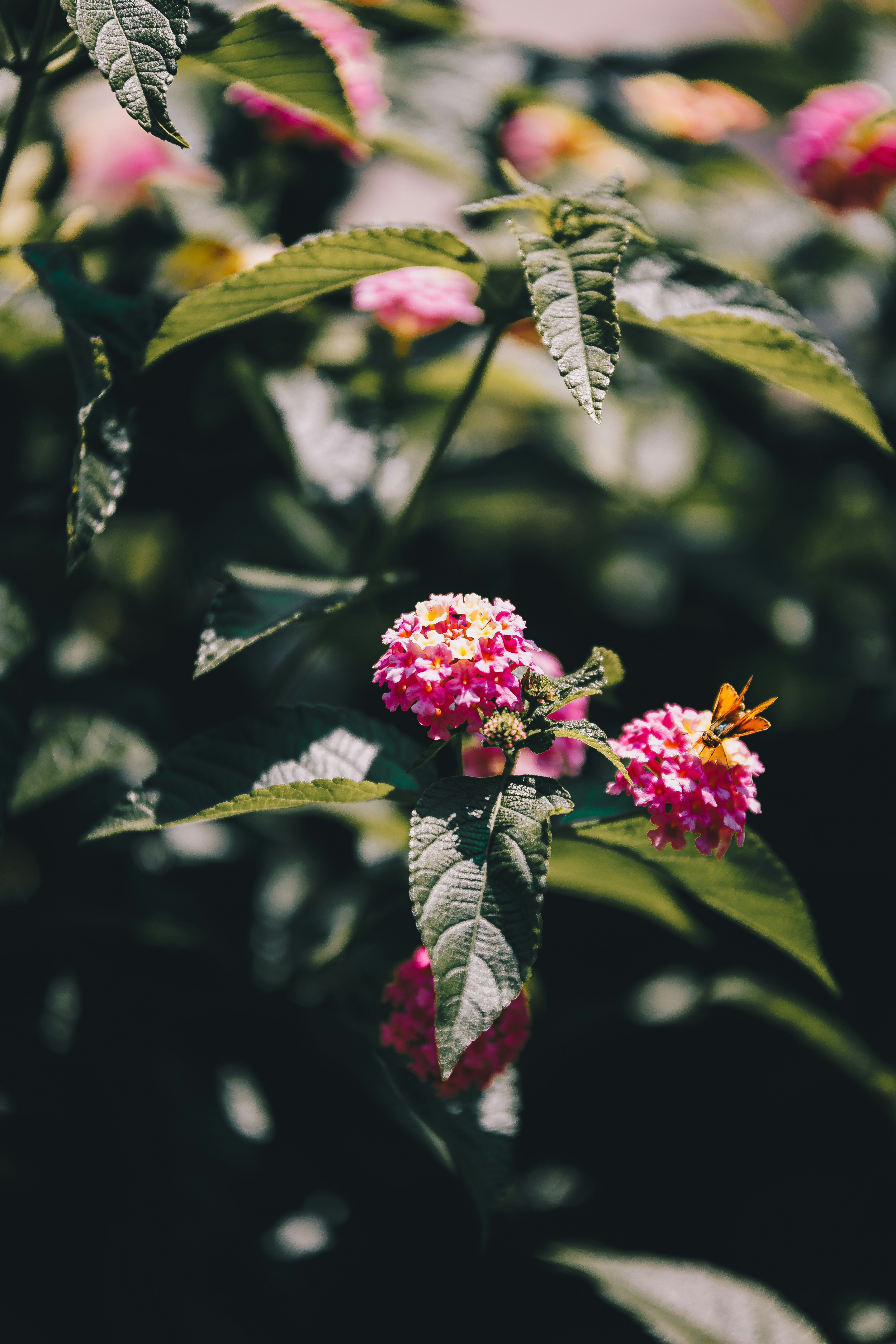 Photo by storywright