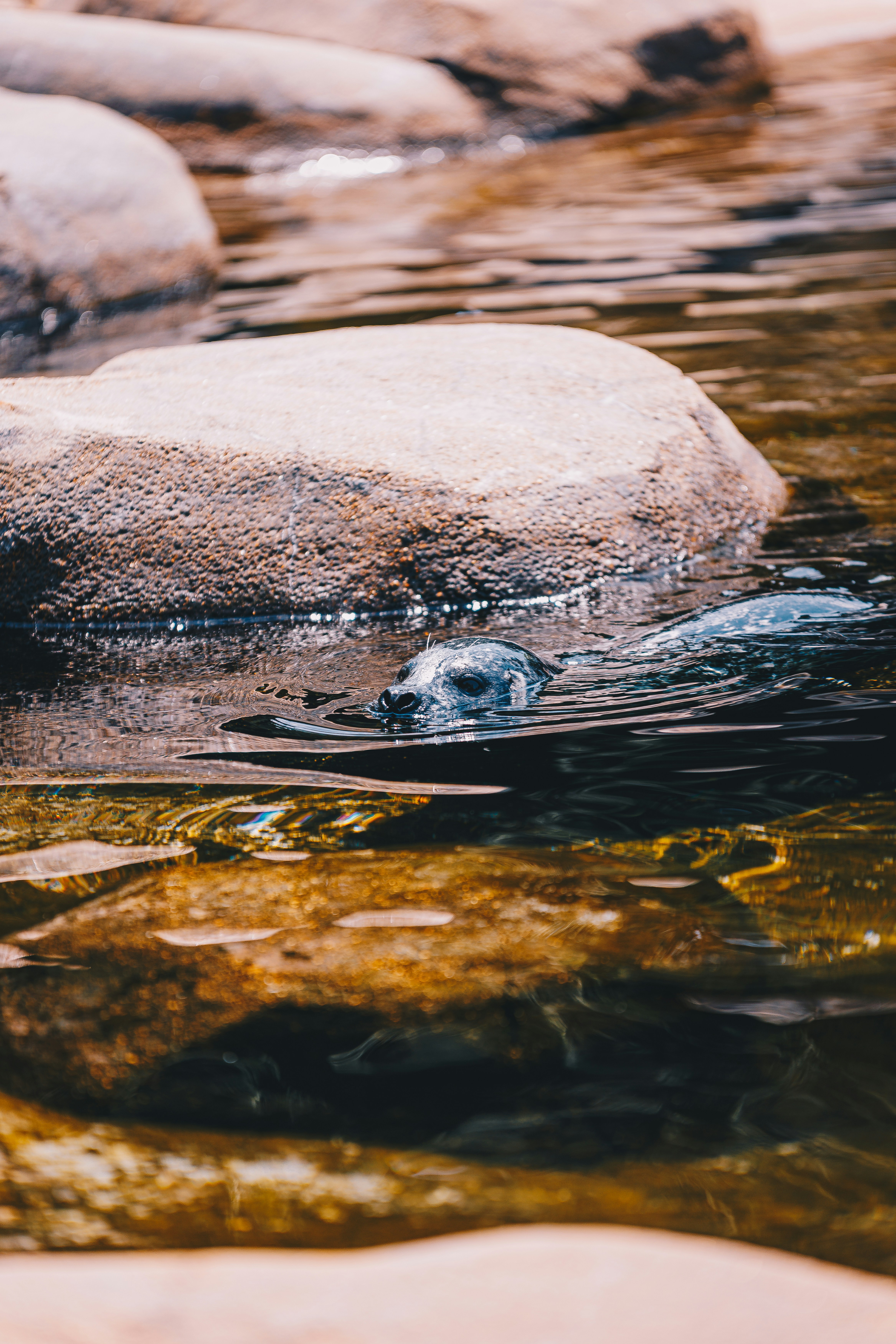 Photo by storywright